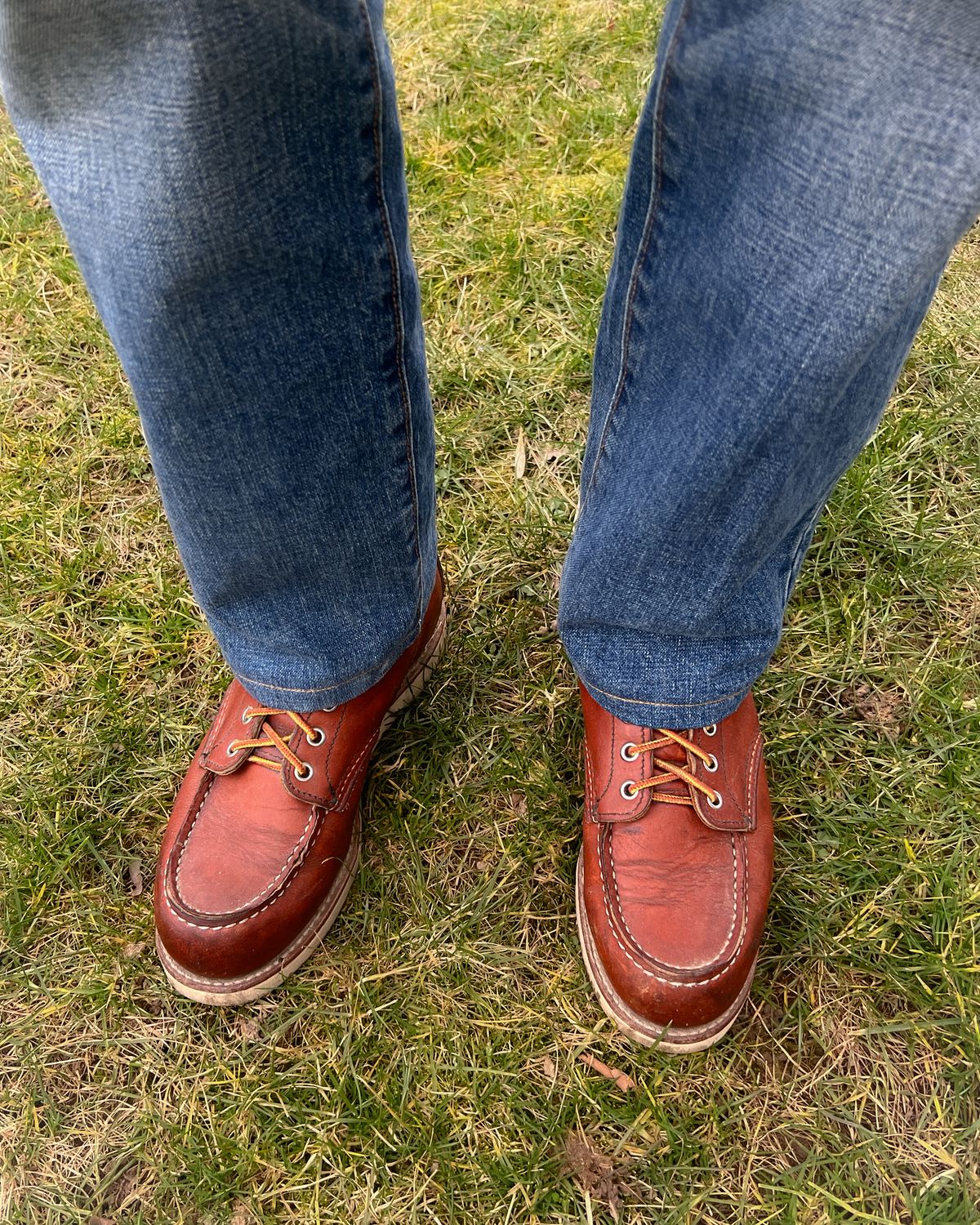 Photo by stuntman on February 11, 2024 of the Red Wing 6-Inch Classic Moc in S.B. Foot Oro Legacy.