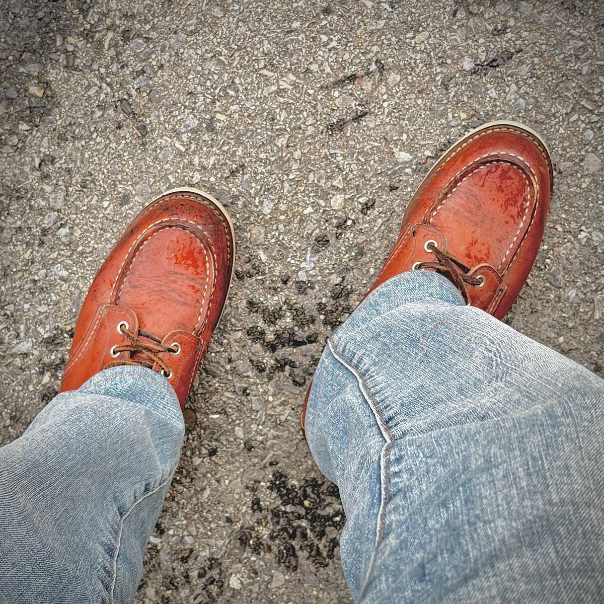 Photo by stuntman on June 7, 2025 of the Red Wing 6-Inch Classic Moc in S.B. Foot Oro Legacy.