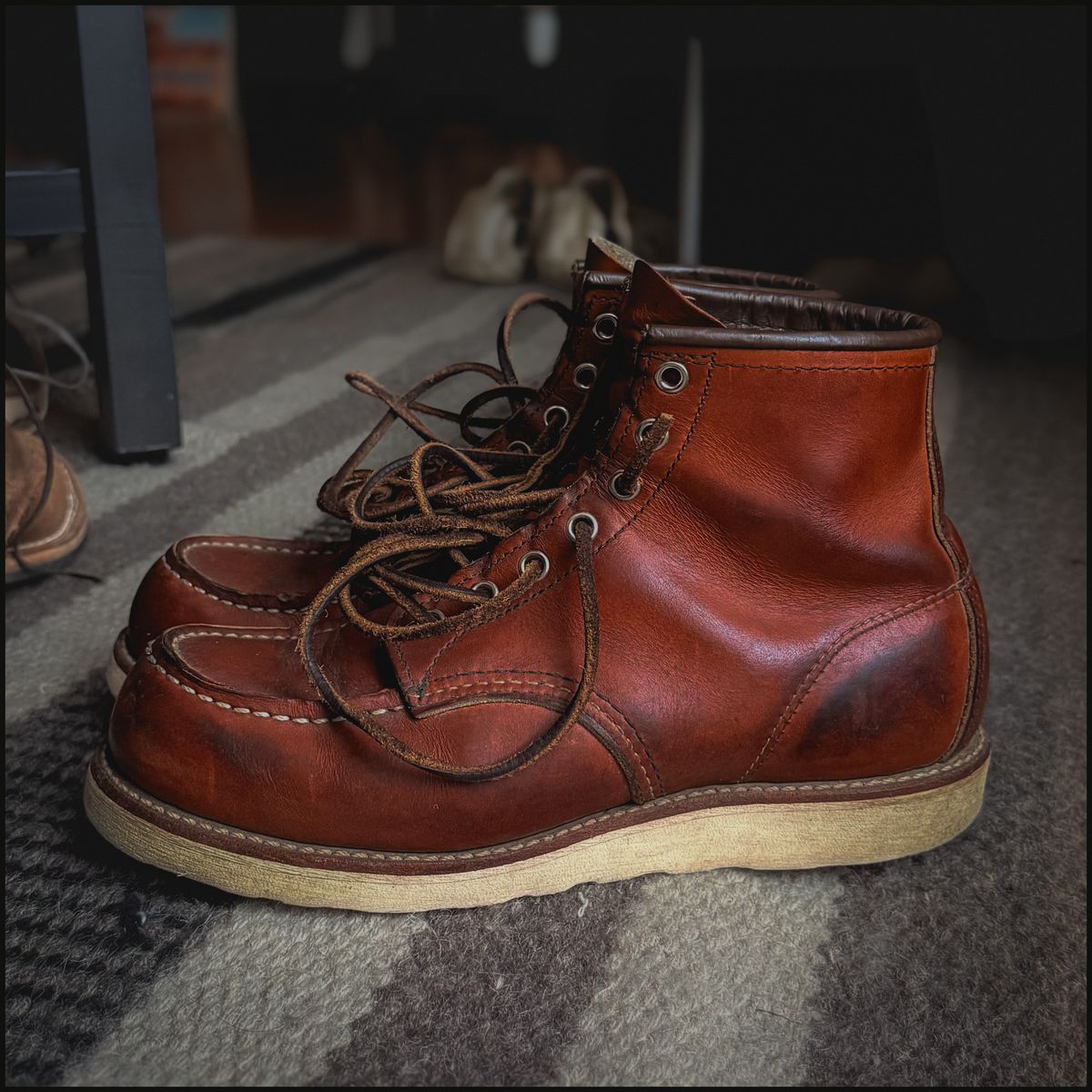 Photo by stuntman on December 4, 2025 of the Red Wing 6-Inch Classic Moc in S.B. Foot Oro Legacy.