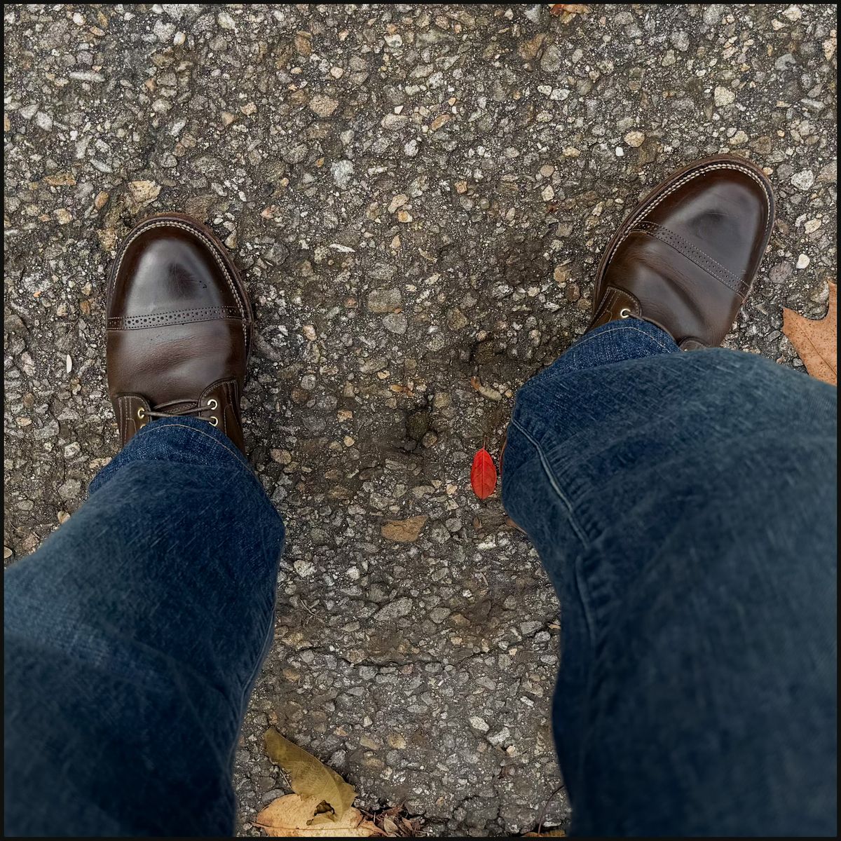 Photo by stuntman on October 25, 2025 of the Viberg Service Boot BCT in Gallun Caper Viking Calf.