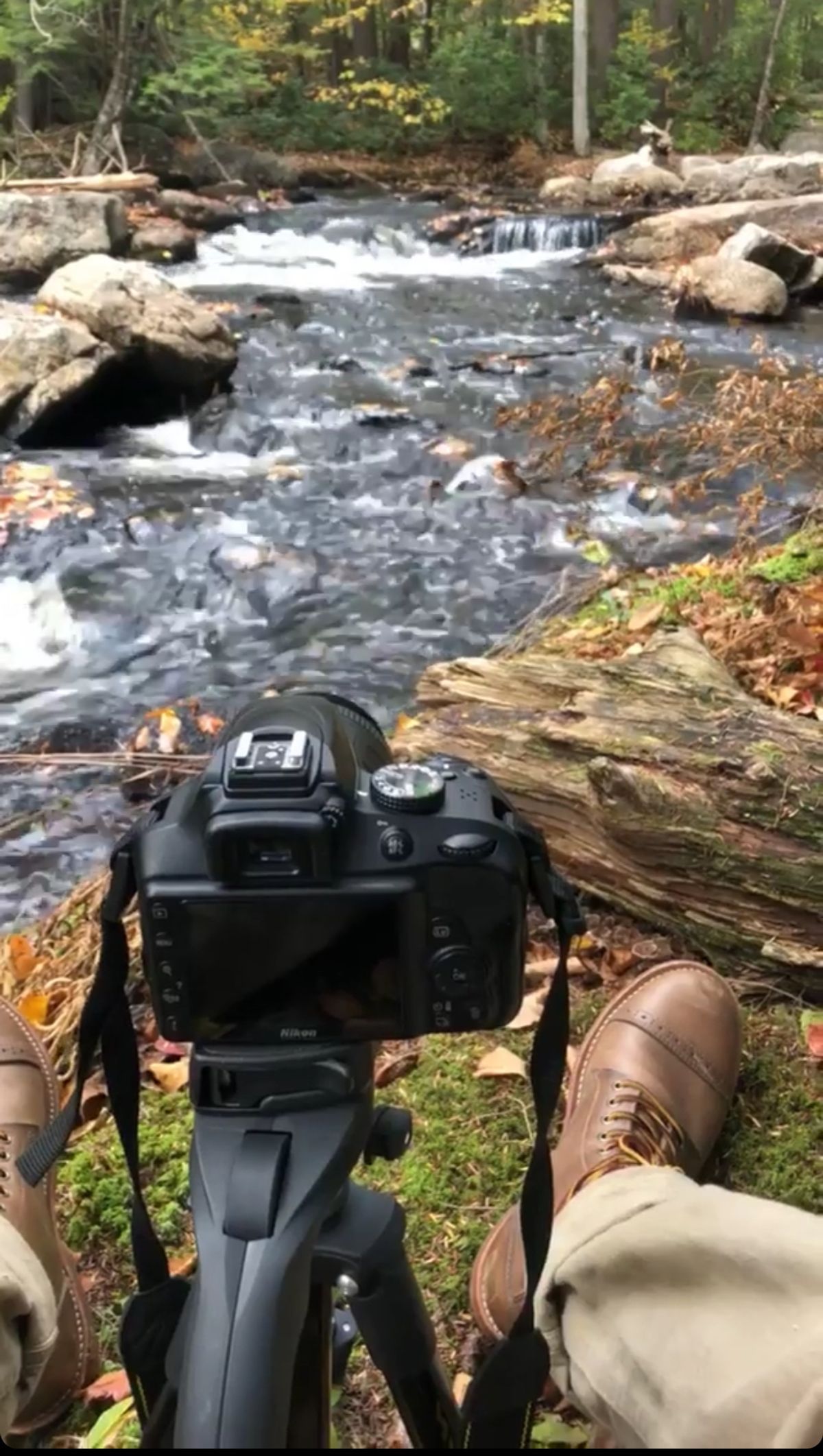 Photo by stuntman on October 28, 2018 of the Oak Street Bootmakers Trench Boot in Horween Natural Chromexcel.
