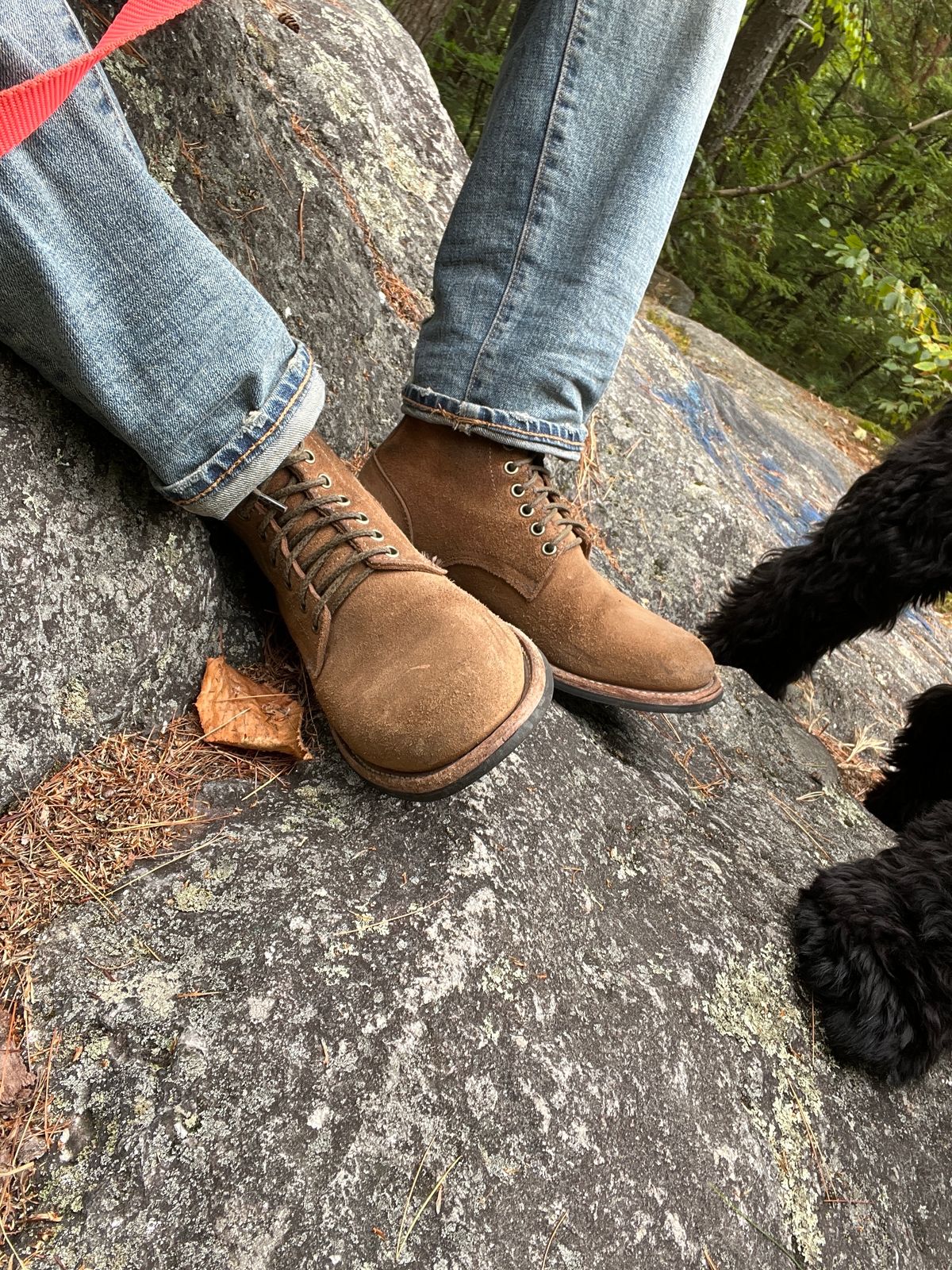 Photo by stuntman on August 27, 2022 of the Oak Street Bootmakers Trench Boot in Horween Natural Chromexcel Roughout.