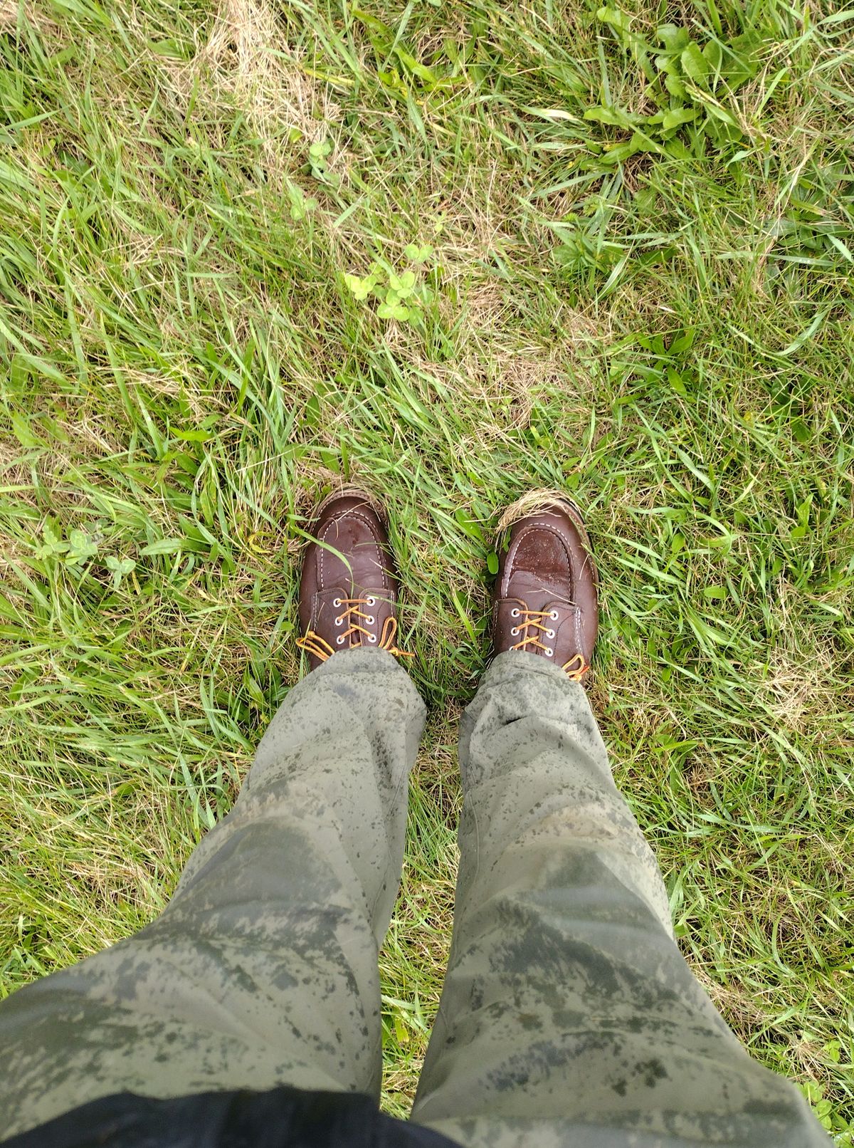 Photo by jcadamsdogtrainer on October 5, 2023 of the Red Wing Roughneck in S.B. Foot Briar Oil Slick.