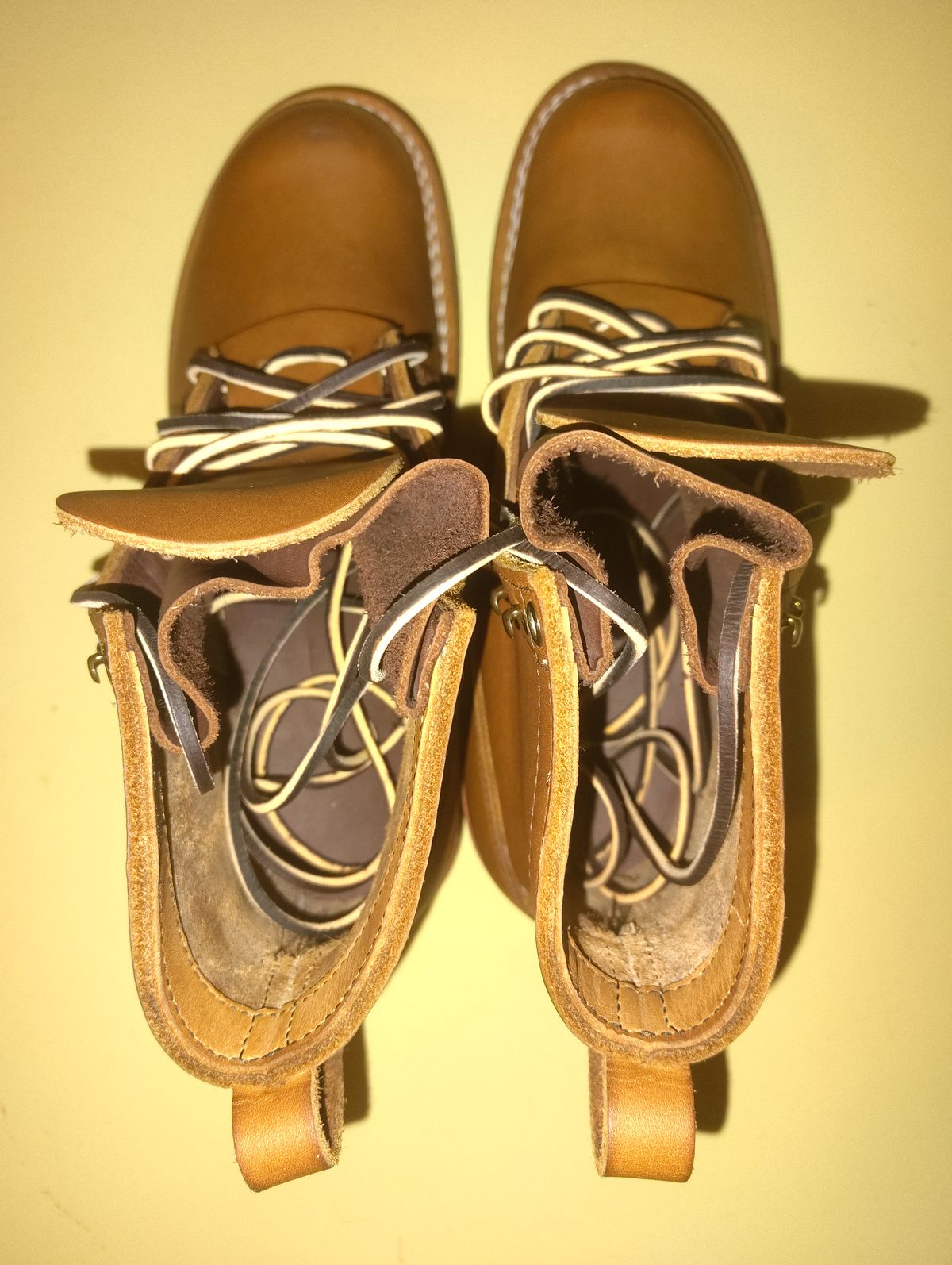 Photo by jcadamsdogtrainer on October 2, 2025 of the Nicks BuilderPro in Seidel 1964 Tan.