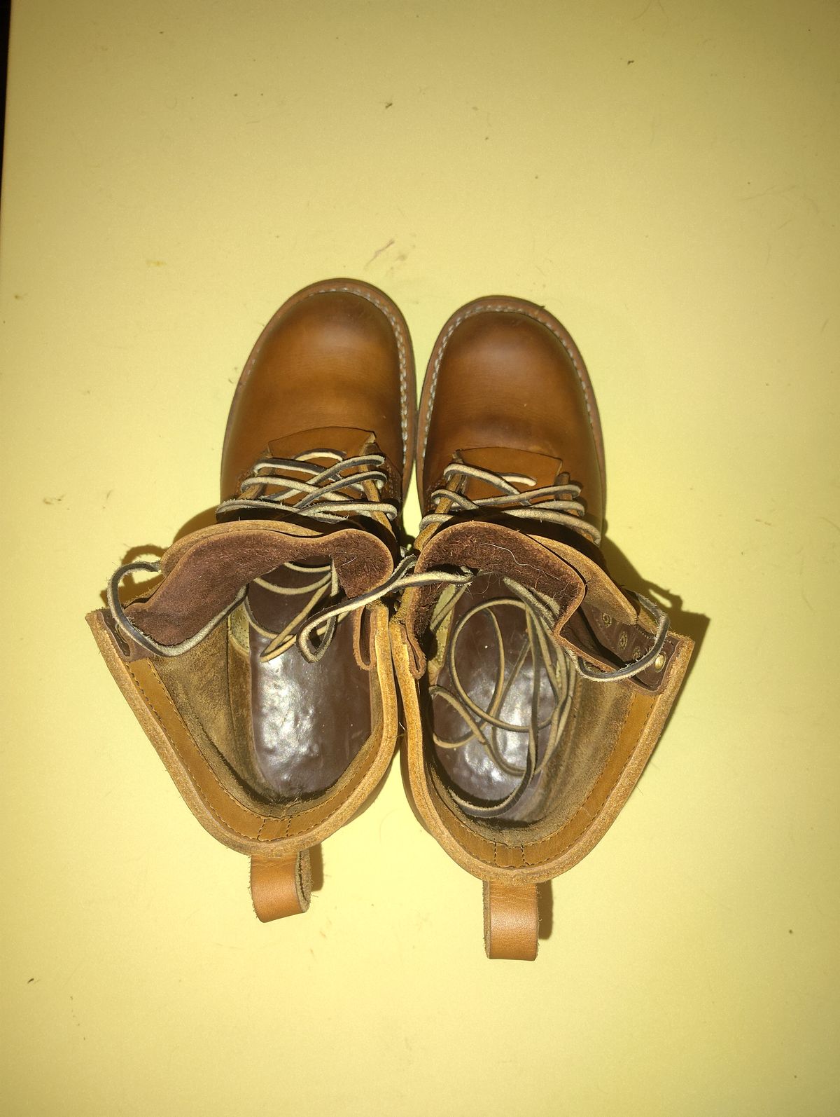 Photo by jcadamsdogtrainer on November 4, 2025 of the Nicks BuilderPro in Seidel 1964 Tan.