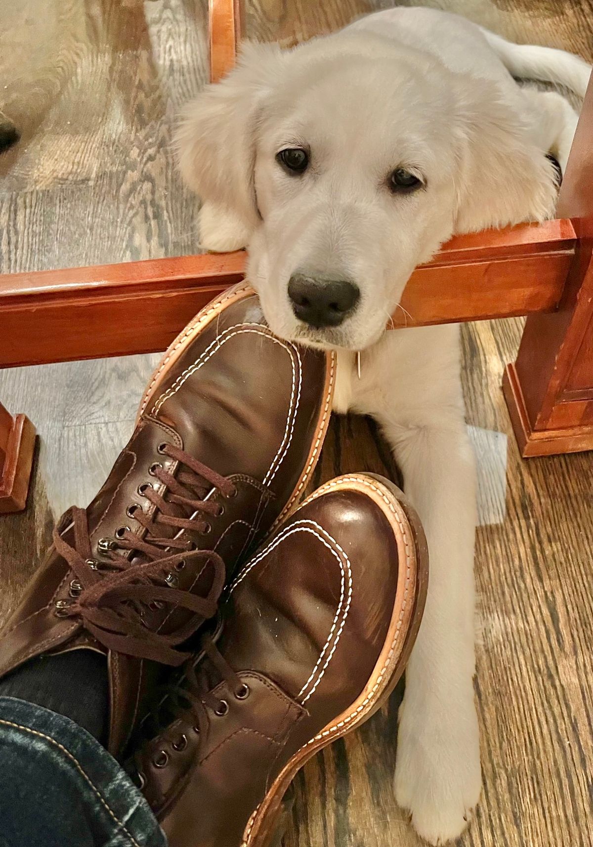 Photo by ThisIsFrankLucas on January 2, 2023 of the Alden Indy Boot in Horween Brown Chromexcel.