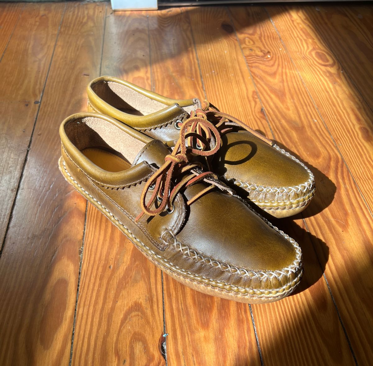 Photo by davecorey on October 5, 2025 of the Quoddy Blucher in Horween Olive Chromexcel.