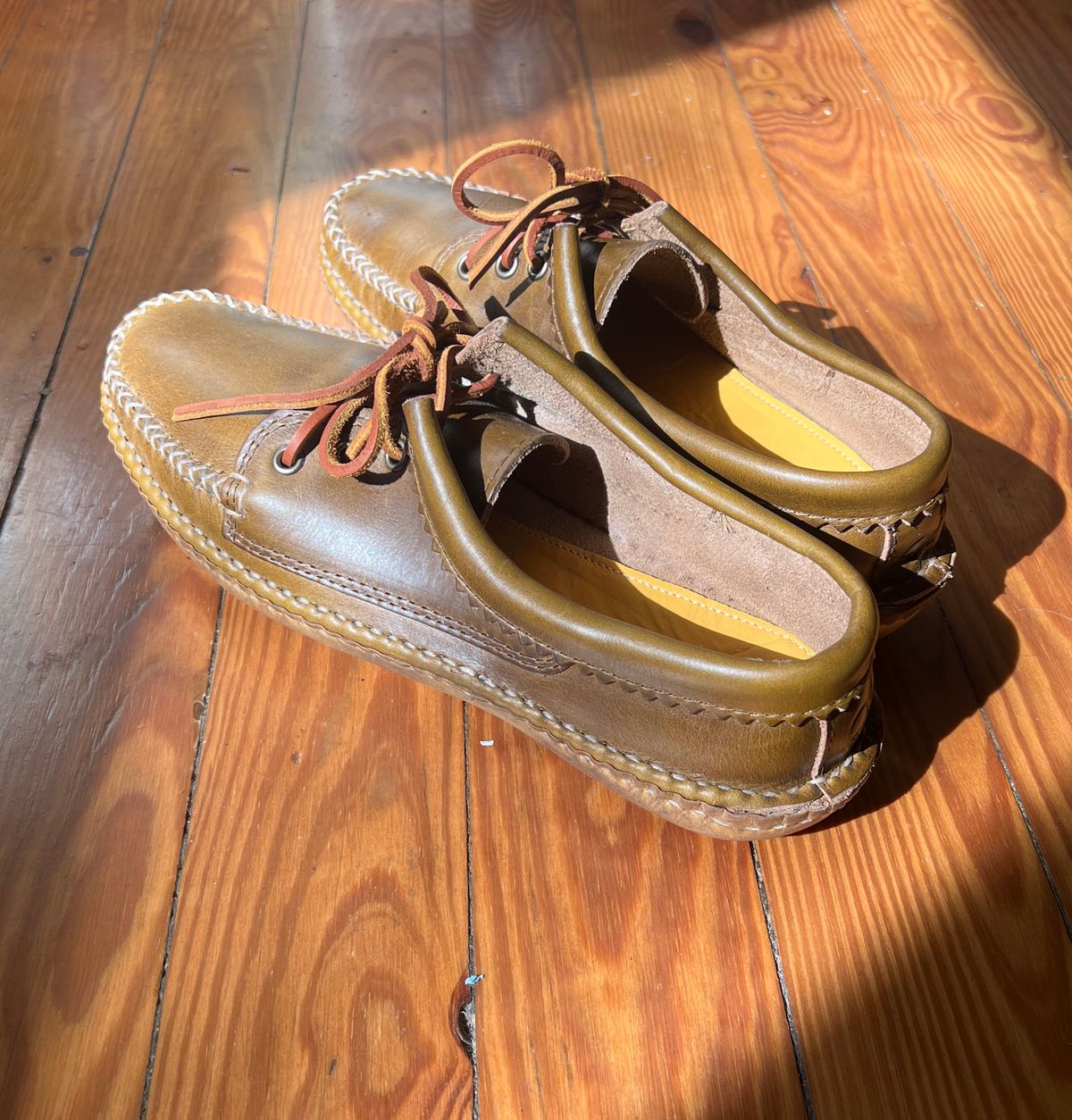 Photo by davecorey on October 5, 2025 of the Quoddy Blucher in Horween Olive Chromexcel.