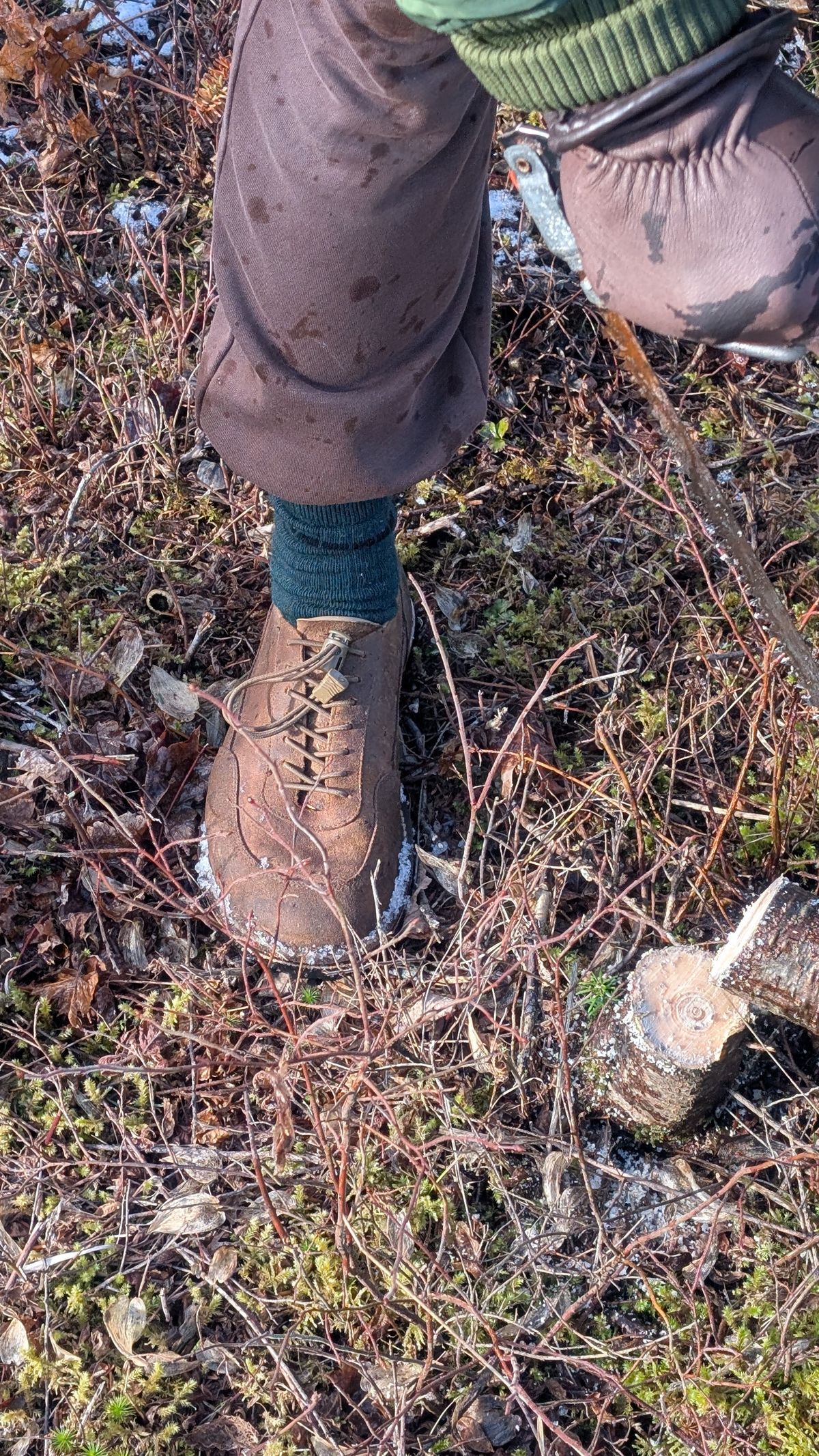 Photo by andrewturriff on December 2, 2024 of the Turriff Functional Footwear C-01 Anatomical Outdoor Shoe in C.F. Stead Prairie Waxy Commander.