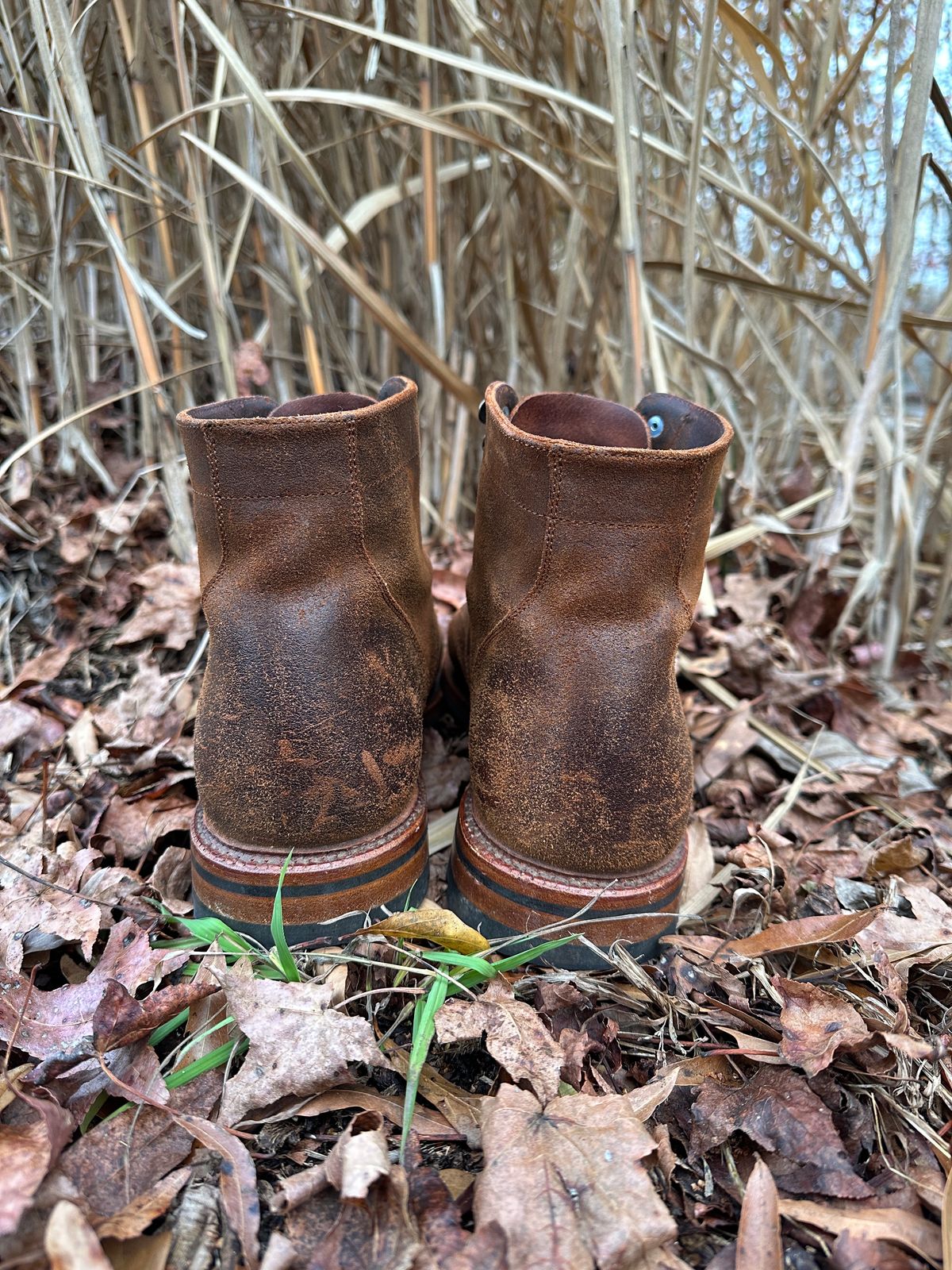 Photo by timsilver on December 3, 2023 of the Parkhurst The Allen in Rust Waxy.