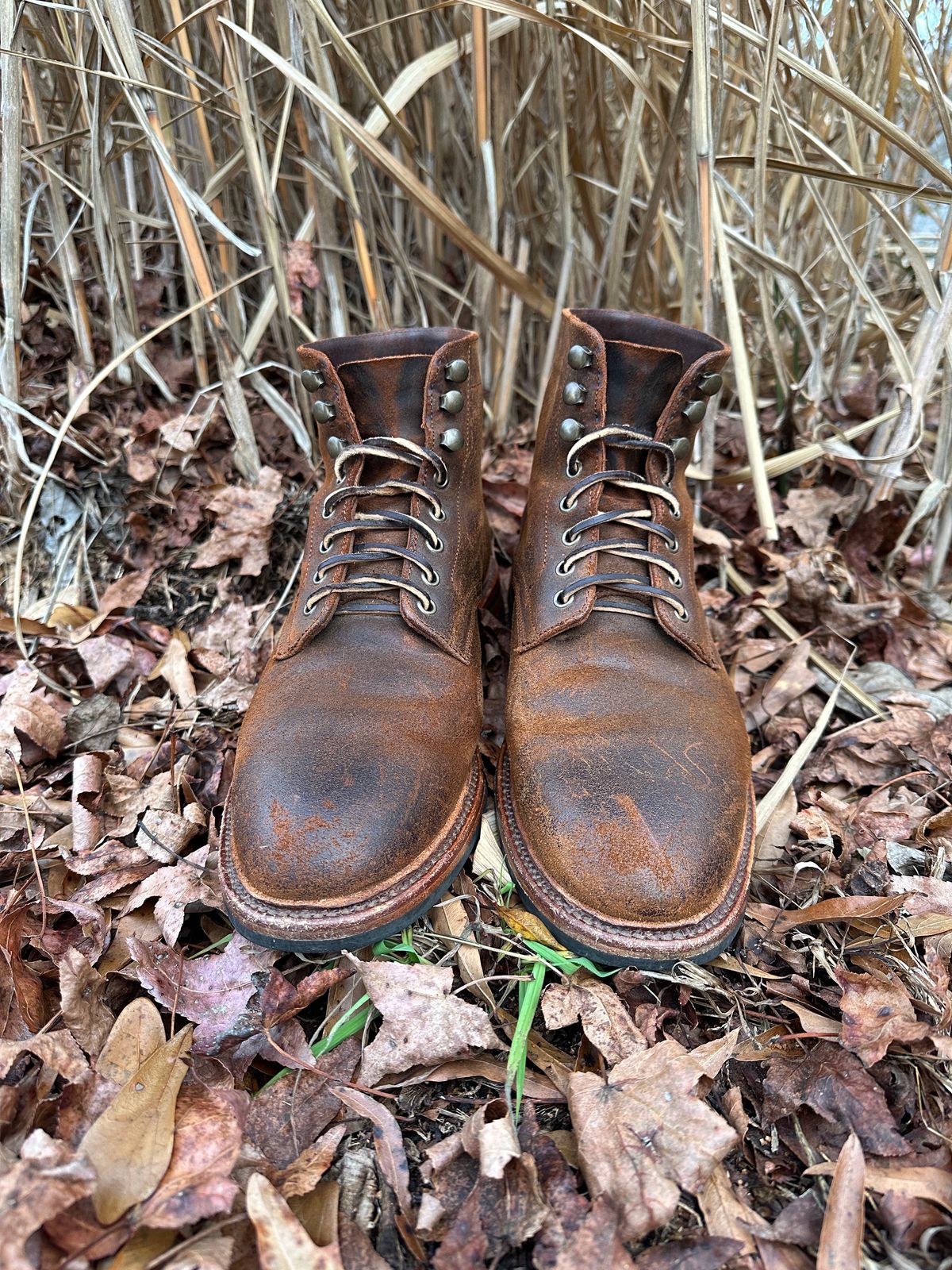 Photo by timsilver on December 3, 2023 of the Parkhurst The Allen in Rust Waxy.