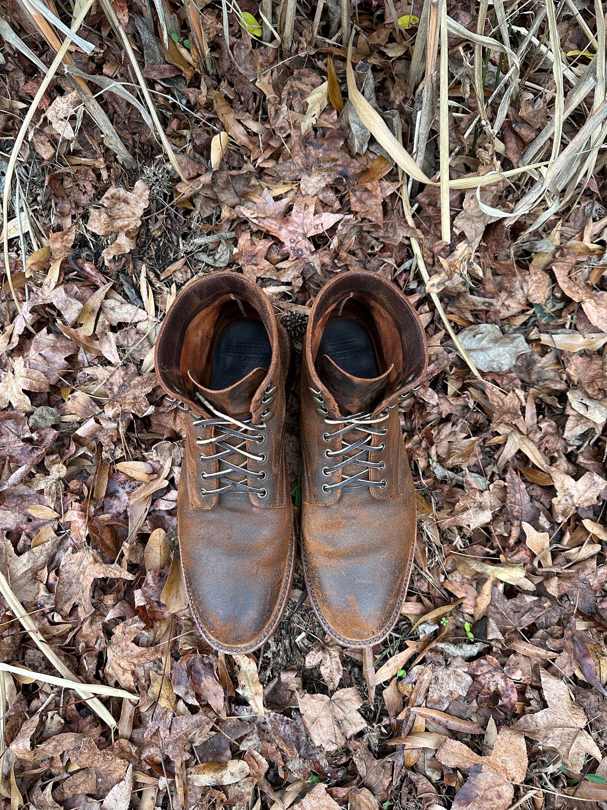 Photo by timsilver on December 3, 2023 of the Parkhurst The Allen in Rust Waxy.
