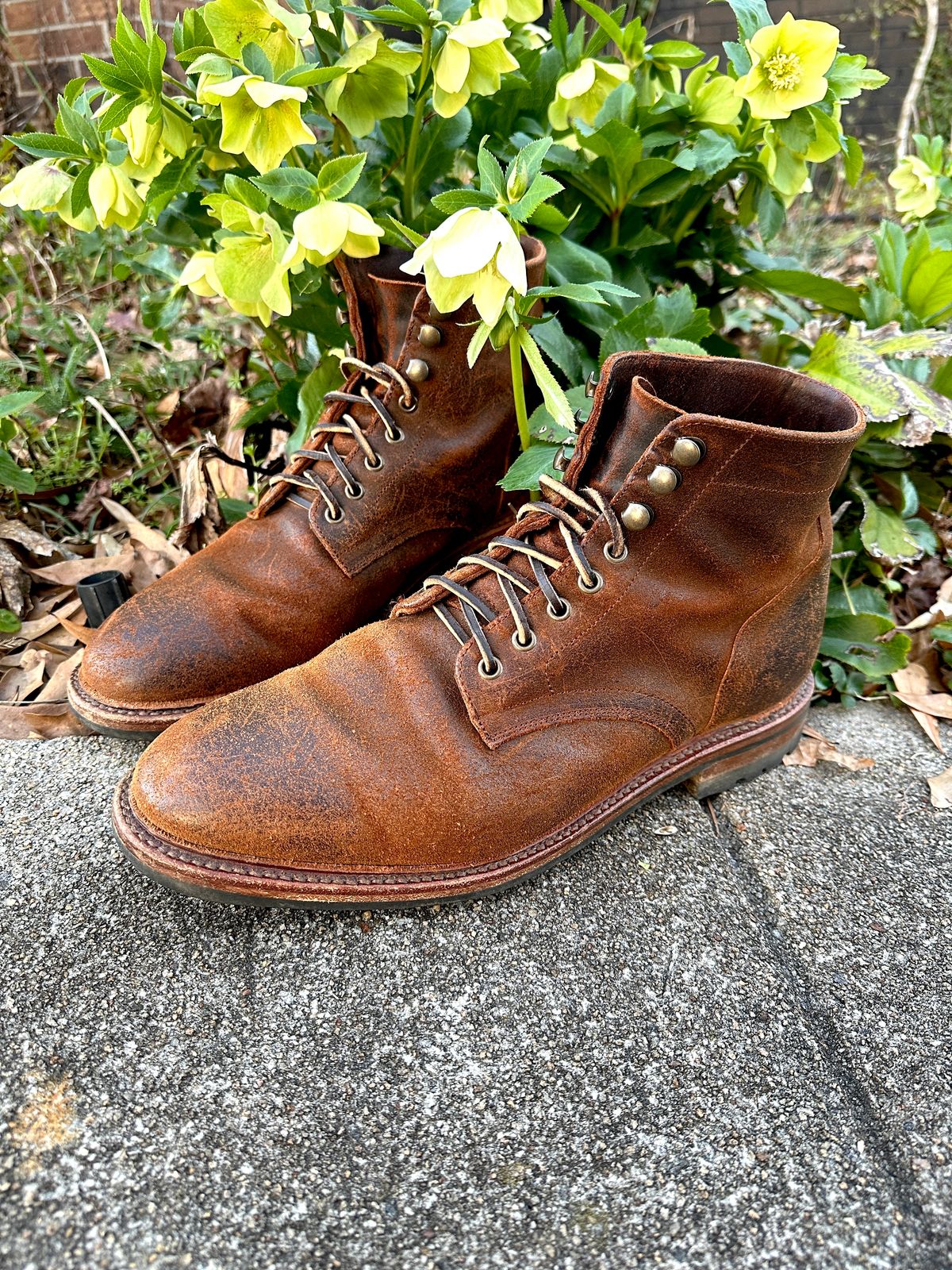 Photo by timsilver on March 2, 2024 of the Parkhurst The Allen in Rust Waxy.