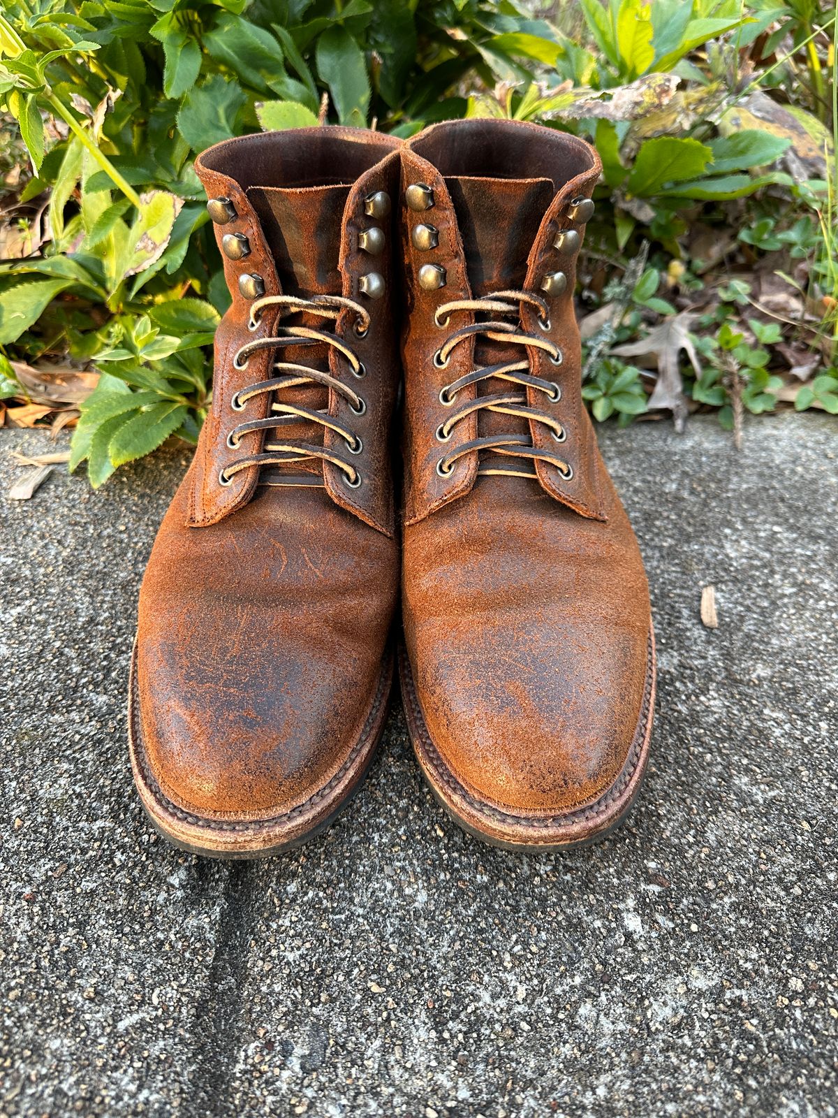 Photo by timsilver on March 2, 2024 of the Parkhurst The Allen in Rust Waxy.