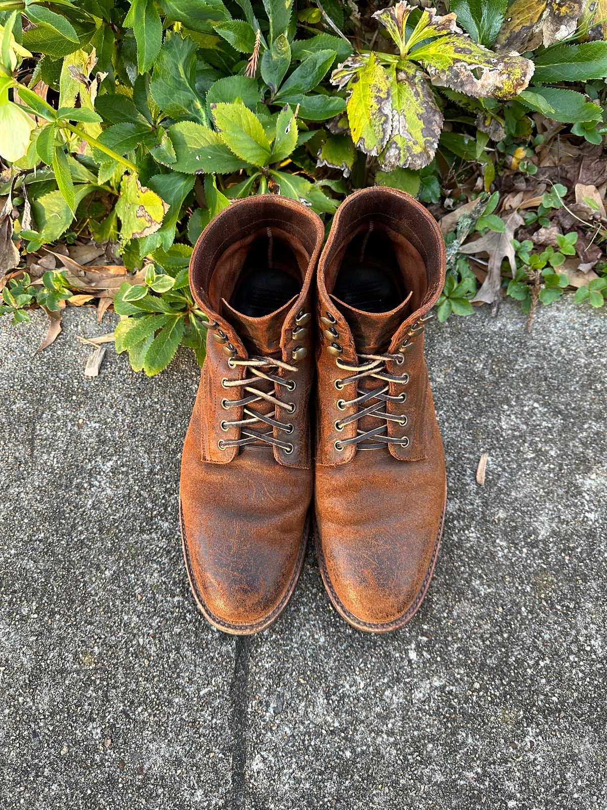 Photo by timsilver on March 2, 2024 of the Parkhurst The Allen in Rust Waxy.