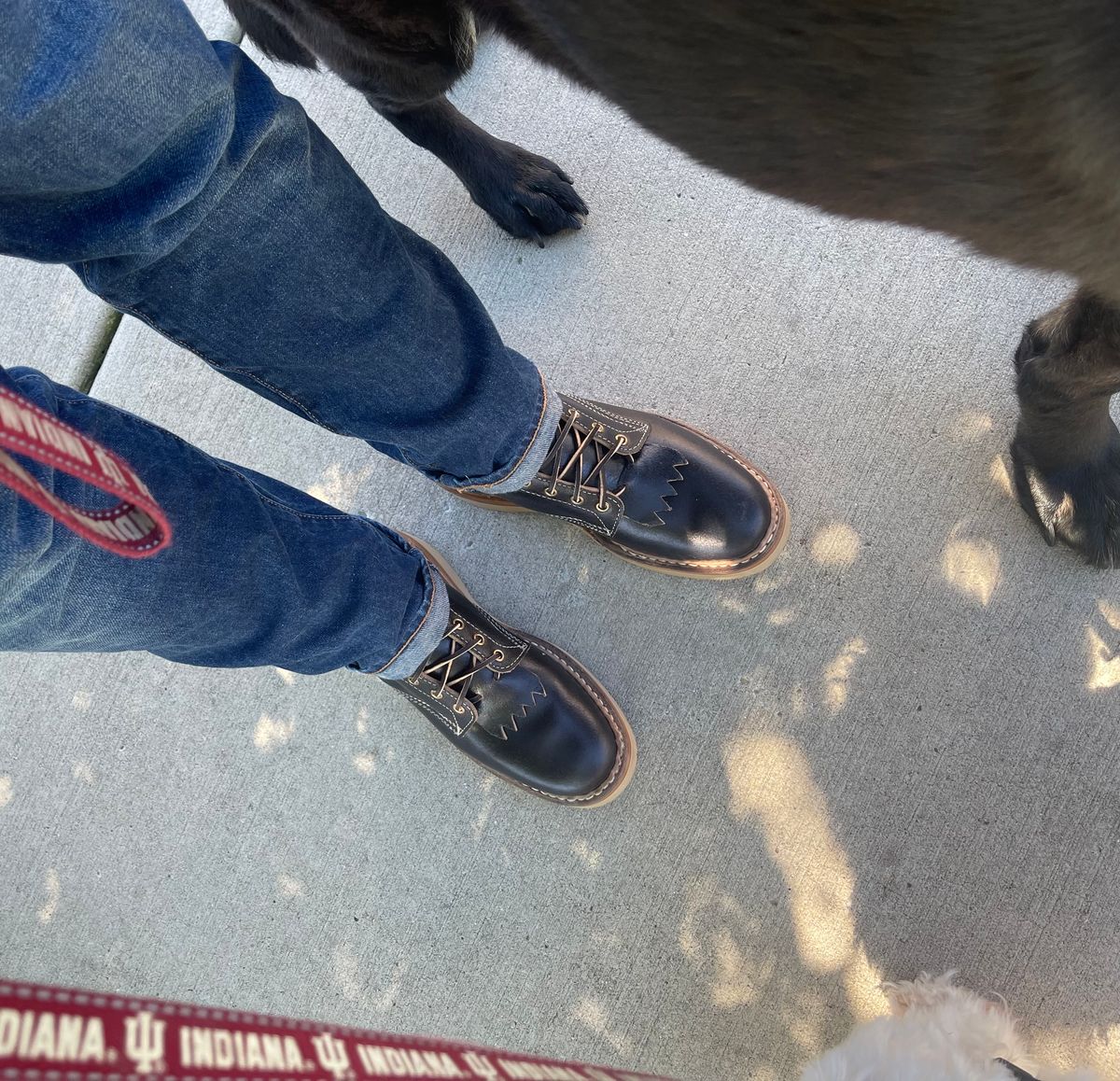 Photo by Joe on October 1, 2022 of the White's 350 Cruiser in Horween Black Waxed Flesh.