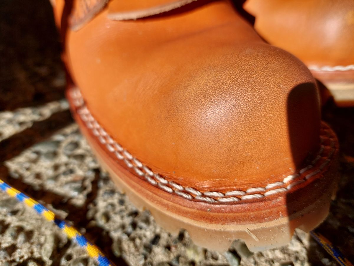 Photo by CanadIan on October 9, 2023 of the Nicks DomePro in Wickett & Craig Tan English Bridle.