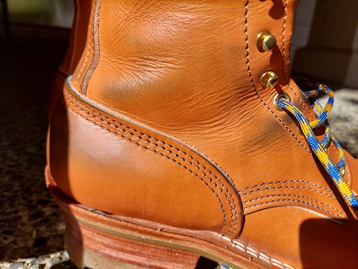 Photo by CanadIan on October 9, 2023 of the Nicks DomePro in Wickett & Craig Tan English Bridle.