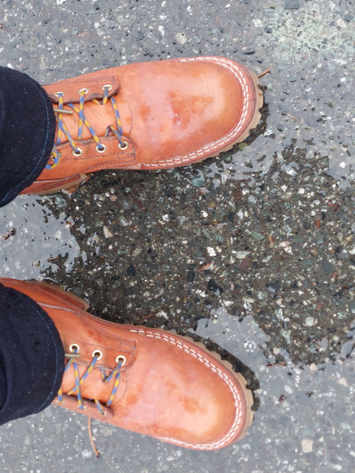Photo by CanadIan on October 18, 2023 of the Nicks DomePro in Wickett & Craig Tan English Bridle.