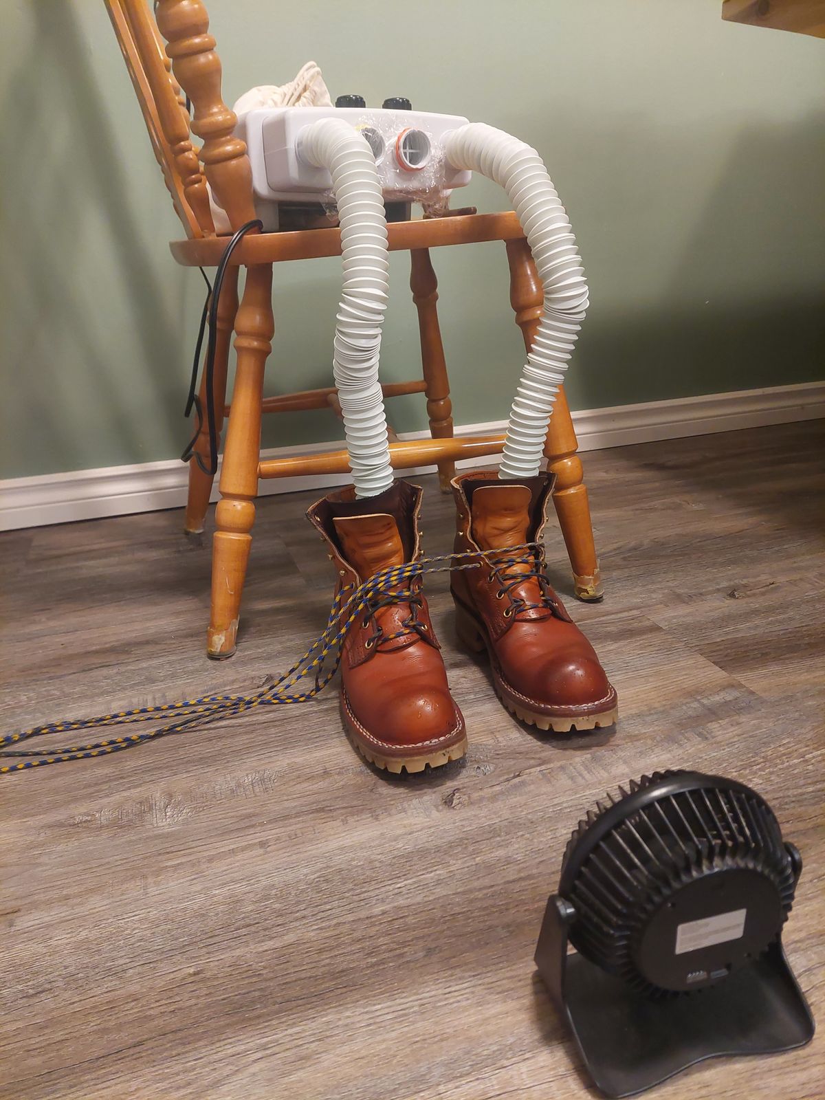 Photo by CanadIan on October 25, 2023 of the Nicks DomePro in Wickett & Craig Tan English Bridle.