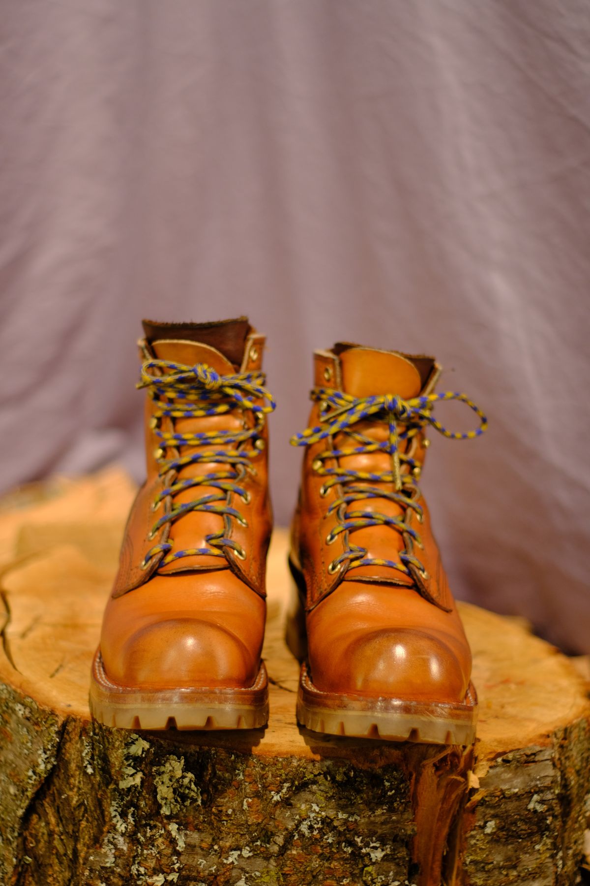 Photo by CanadIan on November 2, 2023 of the Nicks DomePro in Wickett & Craig Tan English Bridle.