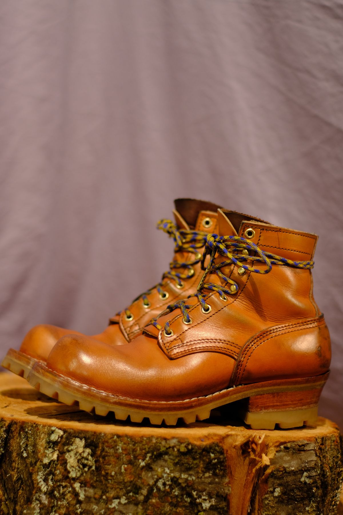 Photo by CanadIan on November 2, 2023 of the Nicks DomePro in Wickett & Craig Tan English Bridle.