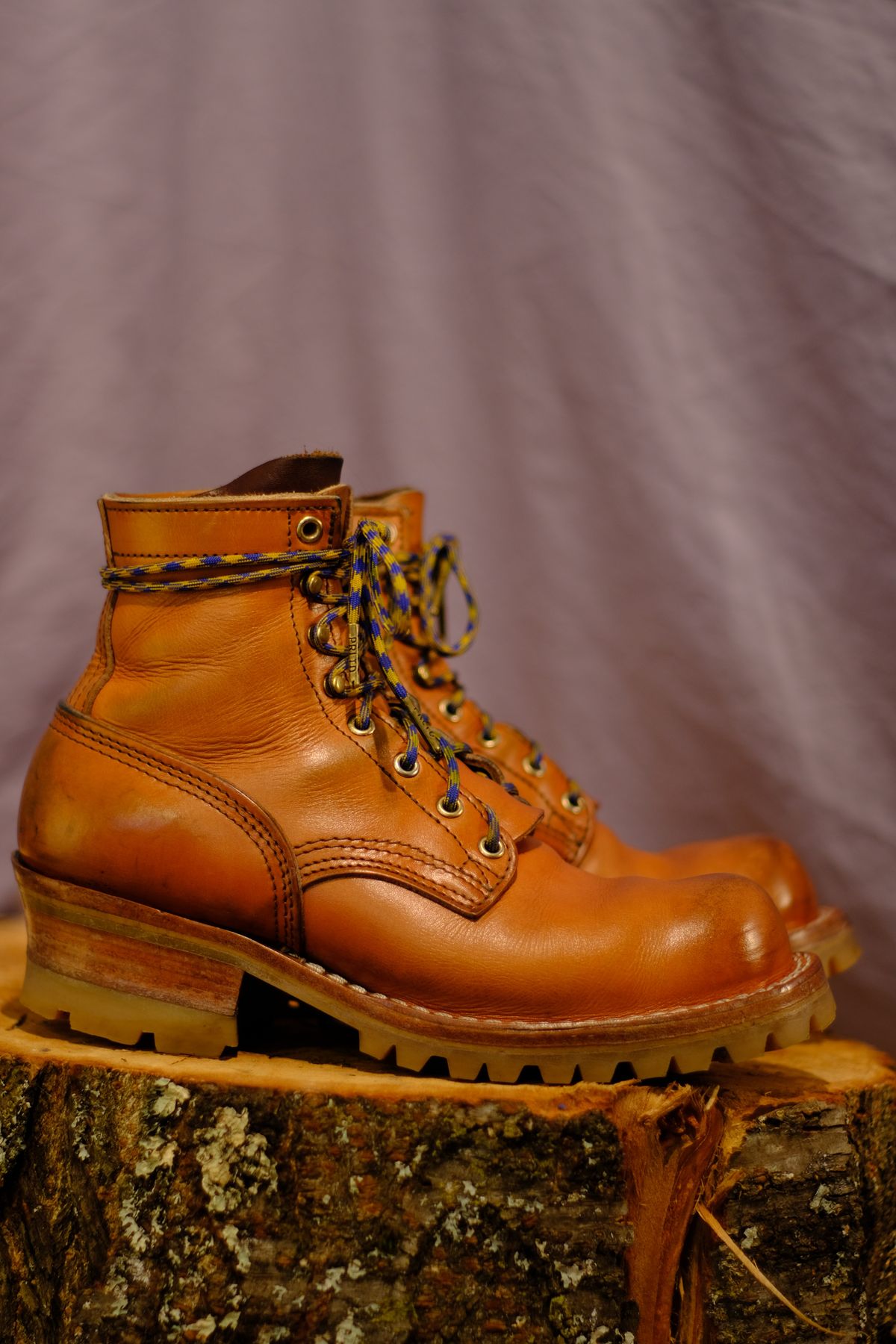 Photo by CanadIan on December 4, 2023 of the Nicks DomePro in Wickett & Craig Tan English Bridle.