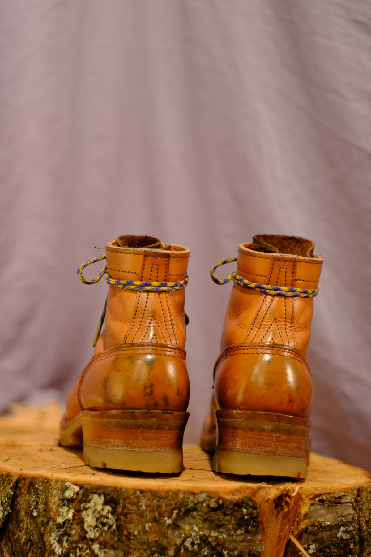Photo by CanadIan on January 6, 2024 of the Nicks DomePro in Wickett & Craig Tan English Bridle.