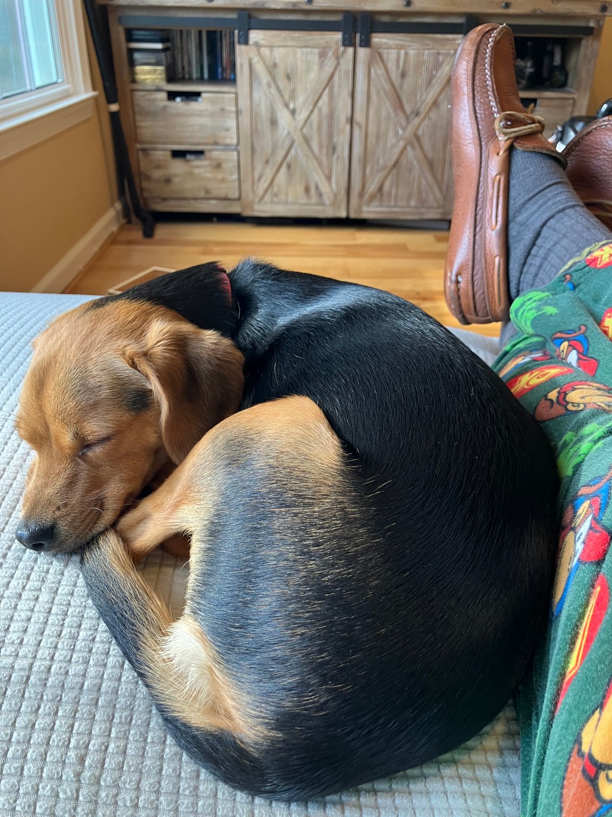 Photo by jbyer111 on November 28, 2025 of the Town View Ole Maine Comfort Classic Double Sole Moccasin in Unknown Top Grain Bullhide & Unknown Deerskin Lining.