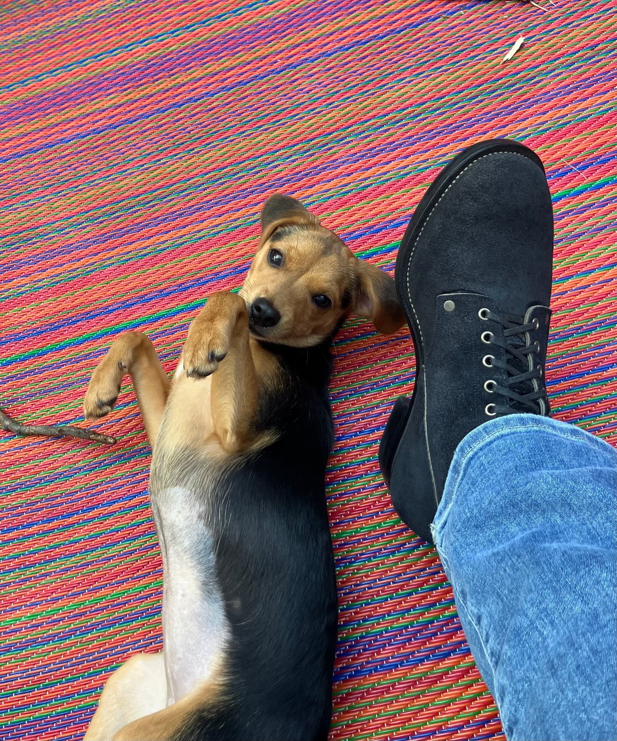 Photo by jbyer111 on July 22, 2025 of the NF Bootmaker Fritz Boot in Horween Navy Chamois Roughout.