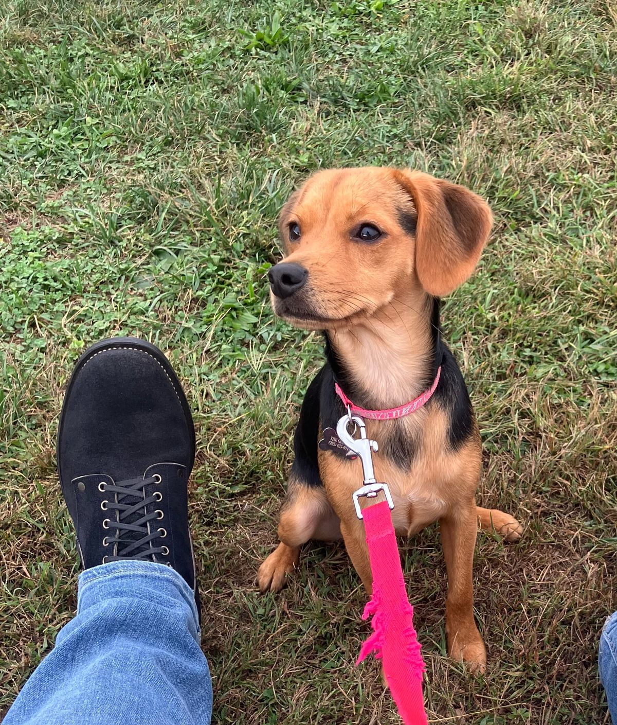 Photo by jbyer111 on September 30, 2025 of the NF Bootmaker Fritz Boot in Horween Navy Chamois Roughout.