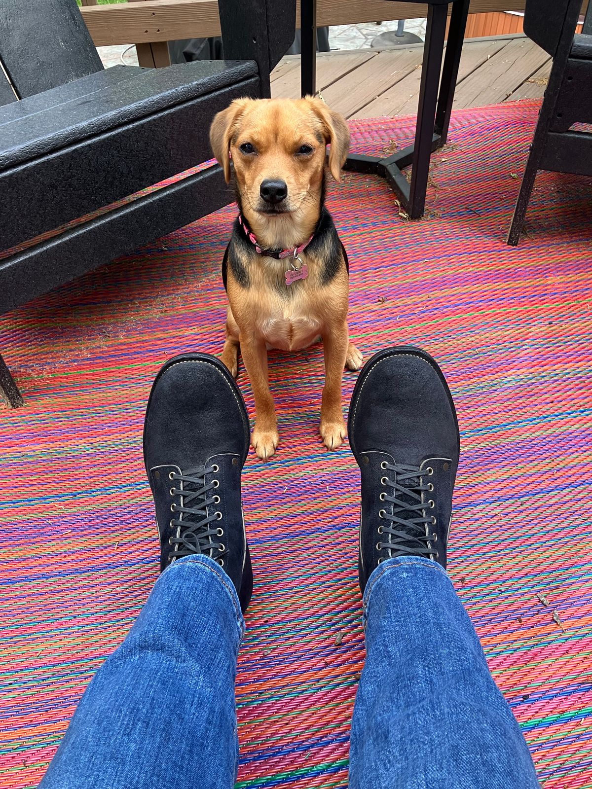 Photo by jbyer111 on May 13, 2026 of the NF Bootmaker Fritz Boot in Horween Navy Chamois Roughout.