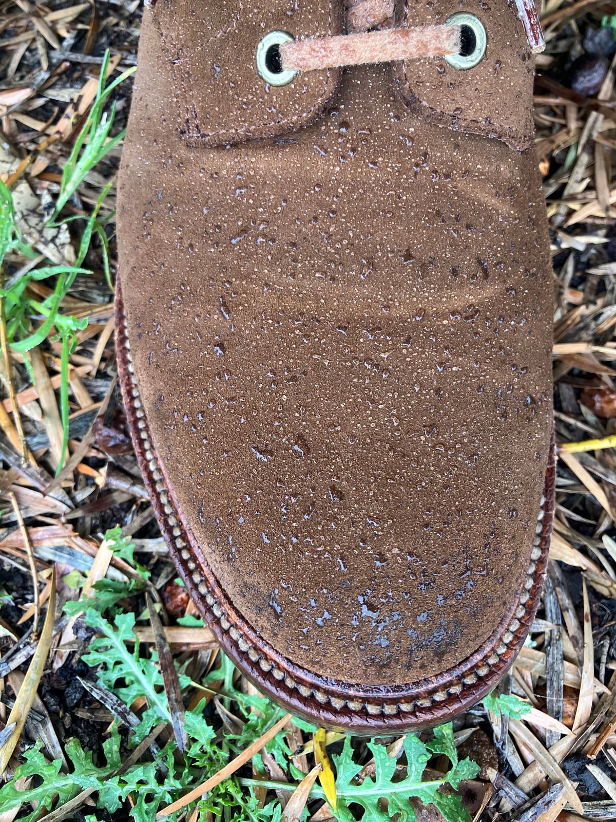 Photo by jbyer111 on March 24, 2024 of the Grant Stone Diesel Boot in C.F. Stead Bourbon Repello Calf Suede.