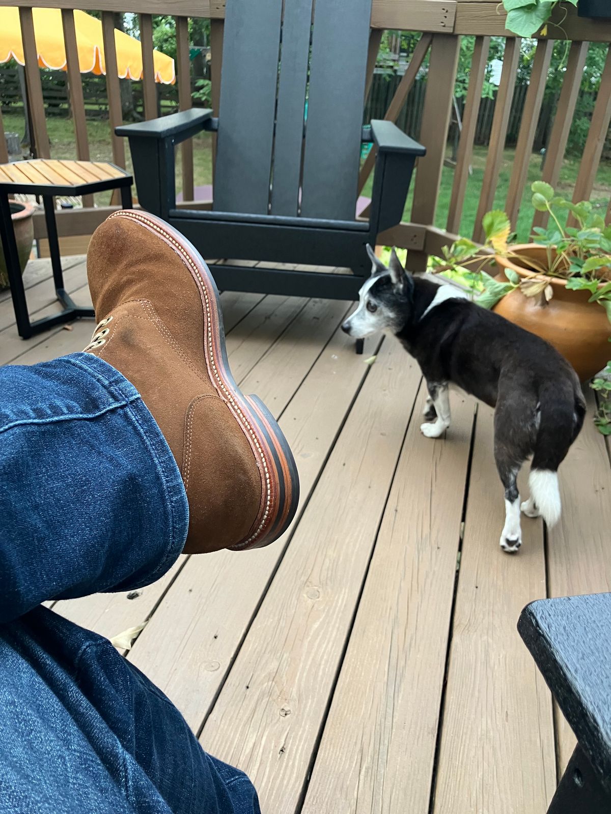 Photo by jbyer111 on July 18, 2024 of the Grant Stone Diesel Boot in C.F. Stead Bourbon Repello Calf Suede.