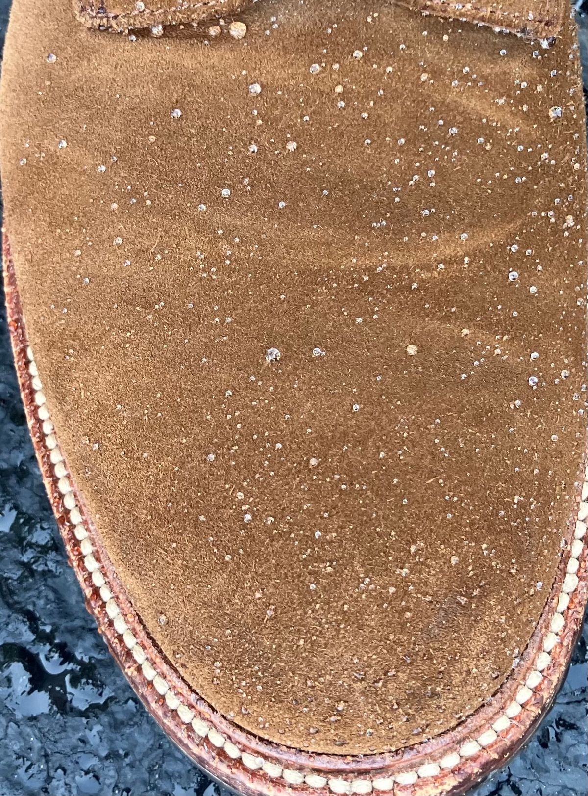 Photo by jbyer111 on June 11, 2025 of the Grant Stone Diesel Boot in C.F. Stead Bourbon Repello Calf Suede.