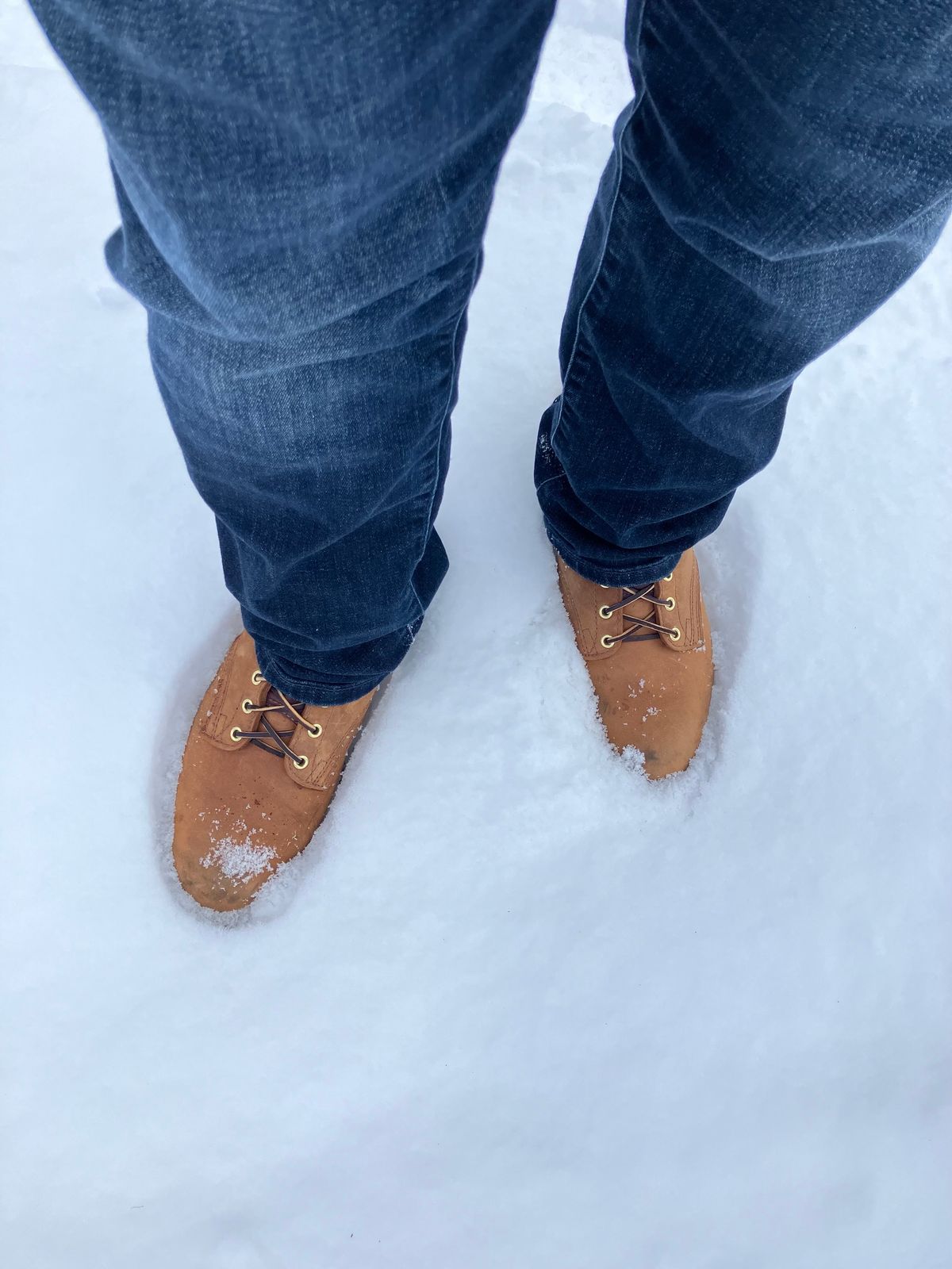 Photo by jbyer111 on January 20, 2024 of the Nicks Ridgeline Hiking Boot in Seidel WeatherShield Brown.