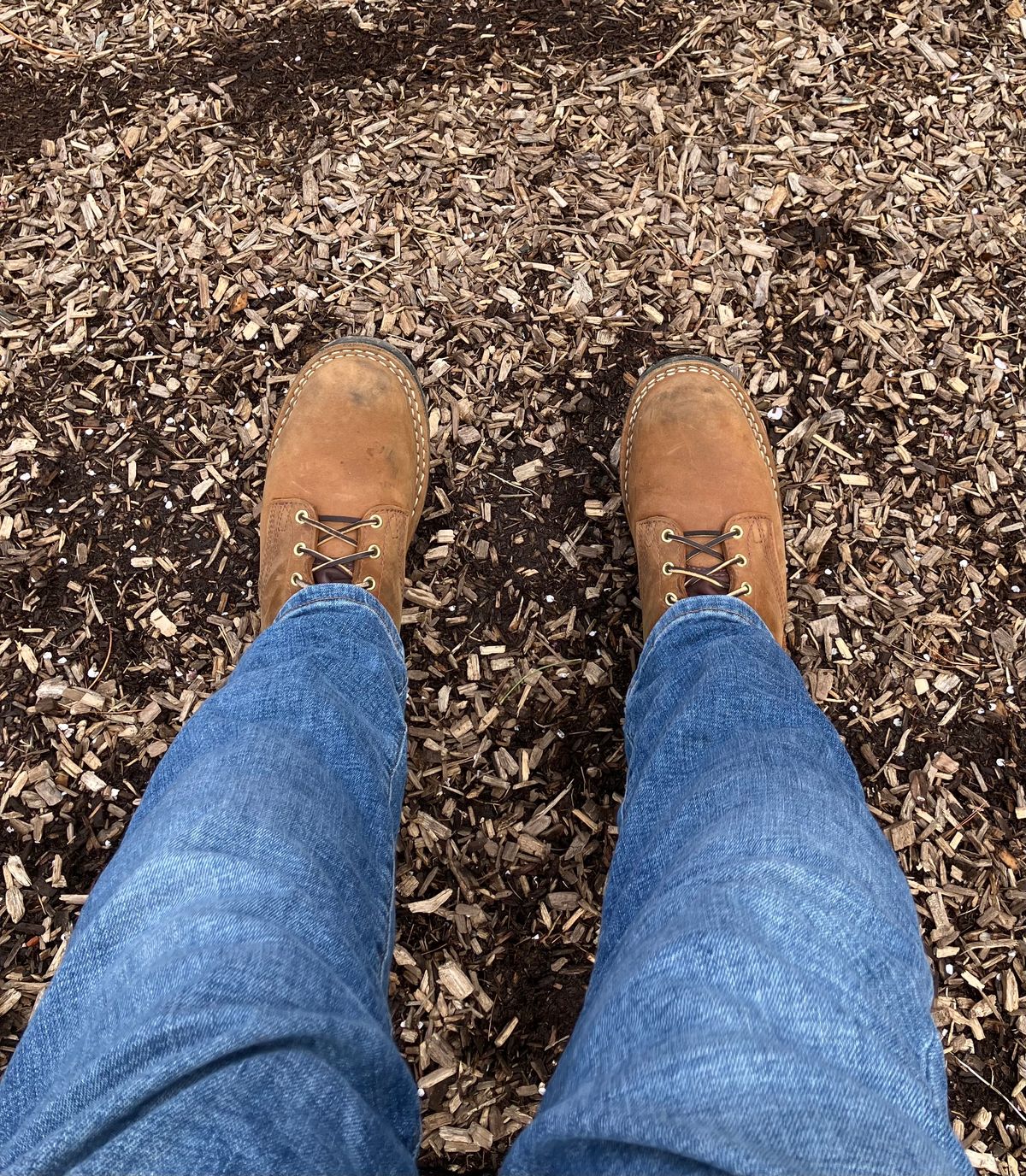 Photo by jbyer111 on April 6, 2024 of the Nicks Ridgeline Hiking Boot in Seidel WeatherShield Brown.