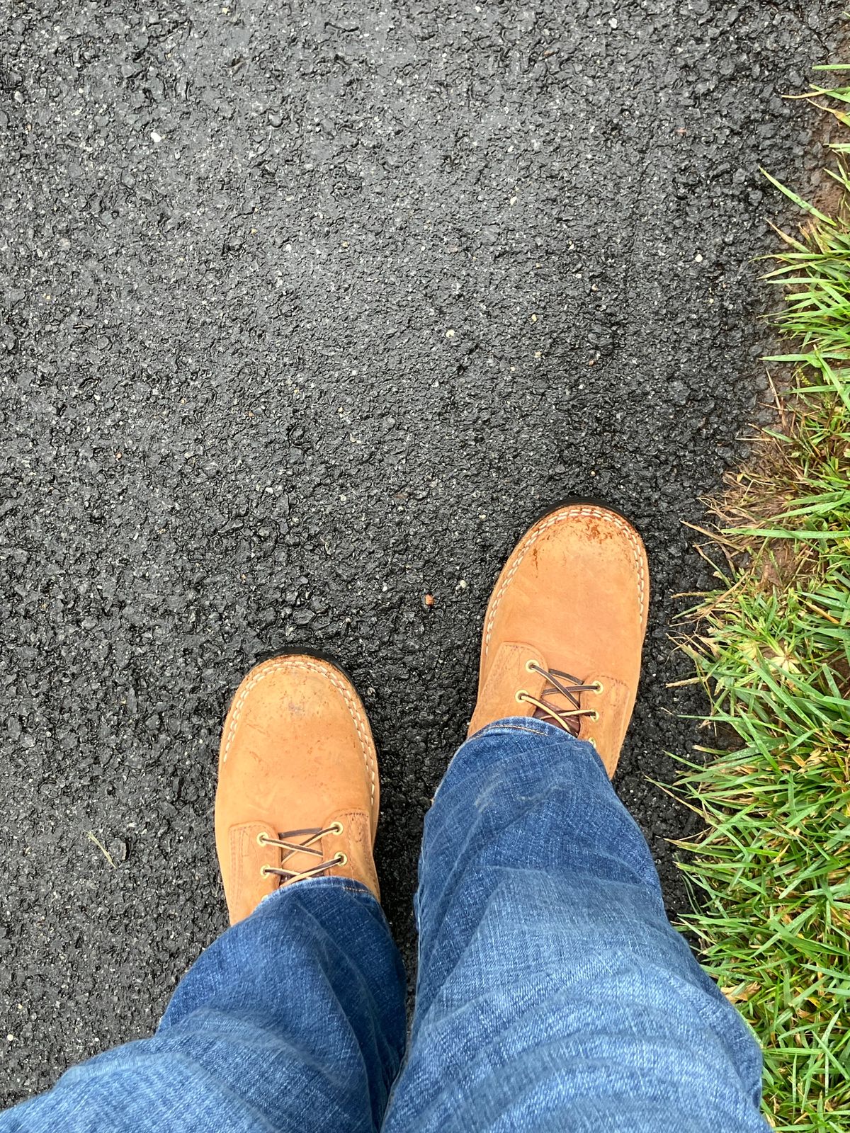 Photo by jbyer111 on October 1, 2024 of the Nicks Ridgeline Hiking Boot in Seidel WeatherShield Brown.
