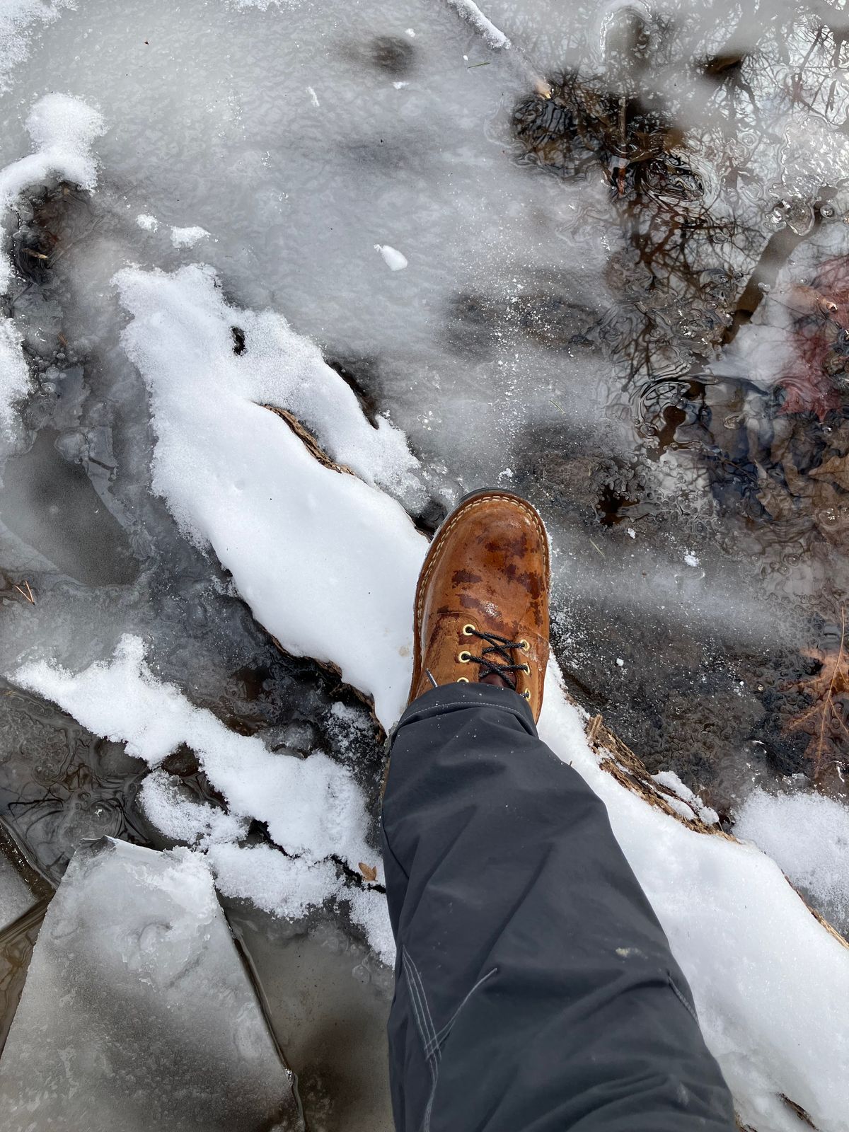 Photo by jbyer111 on January 8, 2025 of the Nicks Ridgeline Hiking Boot in Seidel WeatherShield Brown.