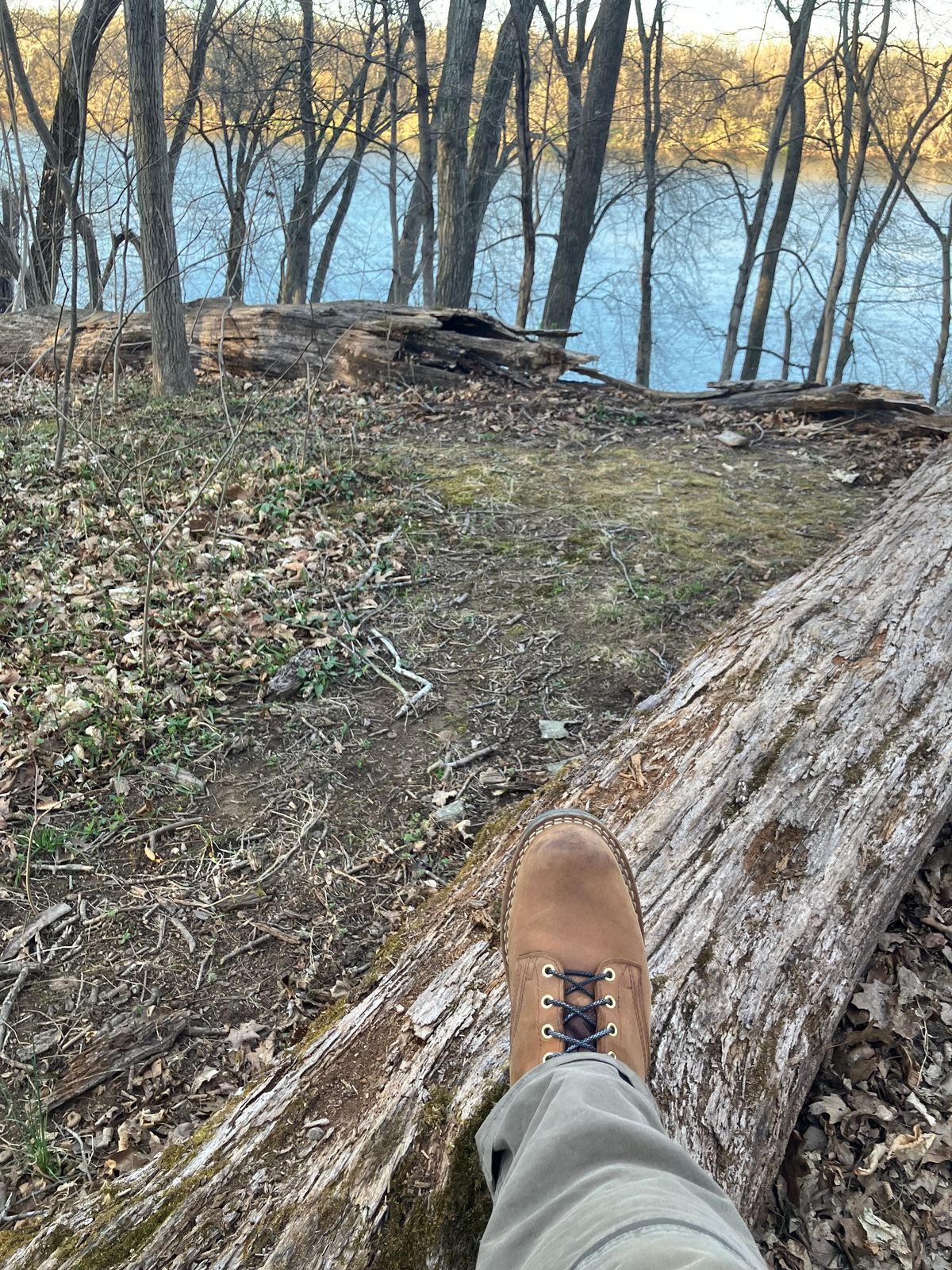 Photo by jbyer111 on March 26, 2025 of the Nicks Ridgeline Hiking Boot in Seidel WeatherShield Brown.