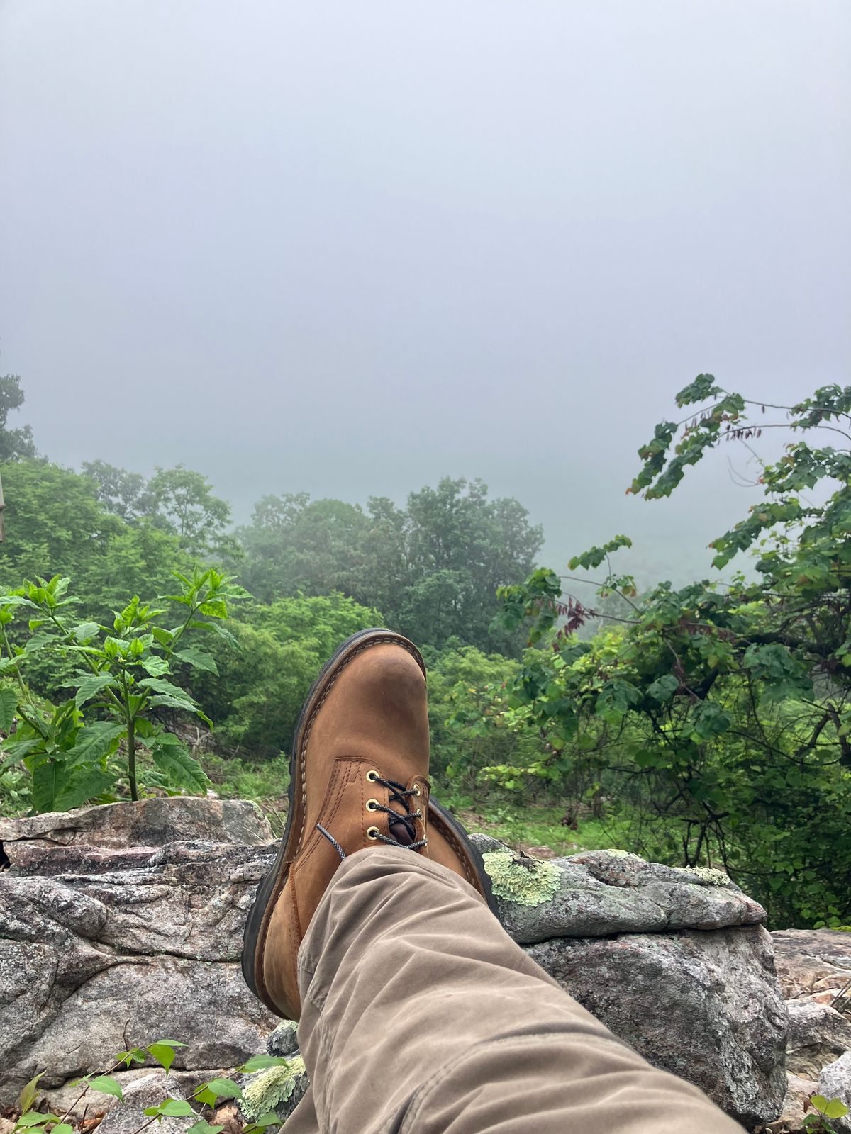 Photo by jbyer111 on June 16, 2025 of the Nicks Ridgeline Hiking Boot in Seidel WeatherShield Brown.