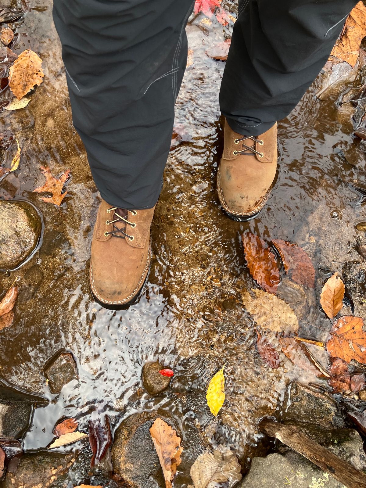 Photo by jbyer111 on October 22, 2023 of the Nicks Ridgeline Hiking Boot in Seidel WeatherShield Brown.