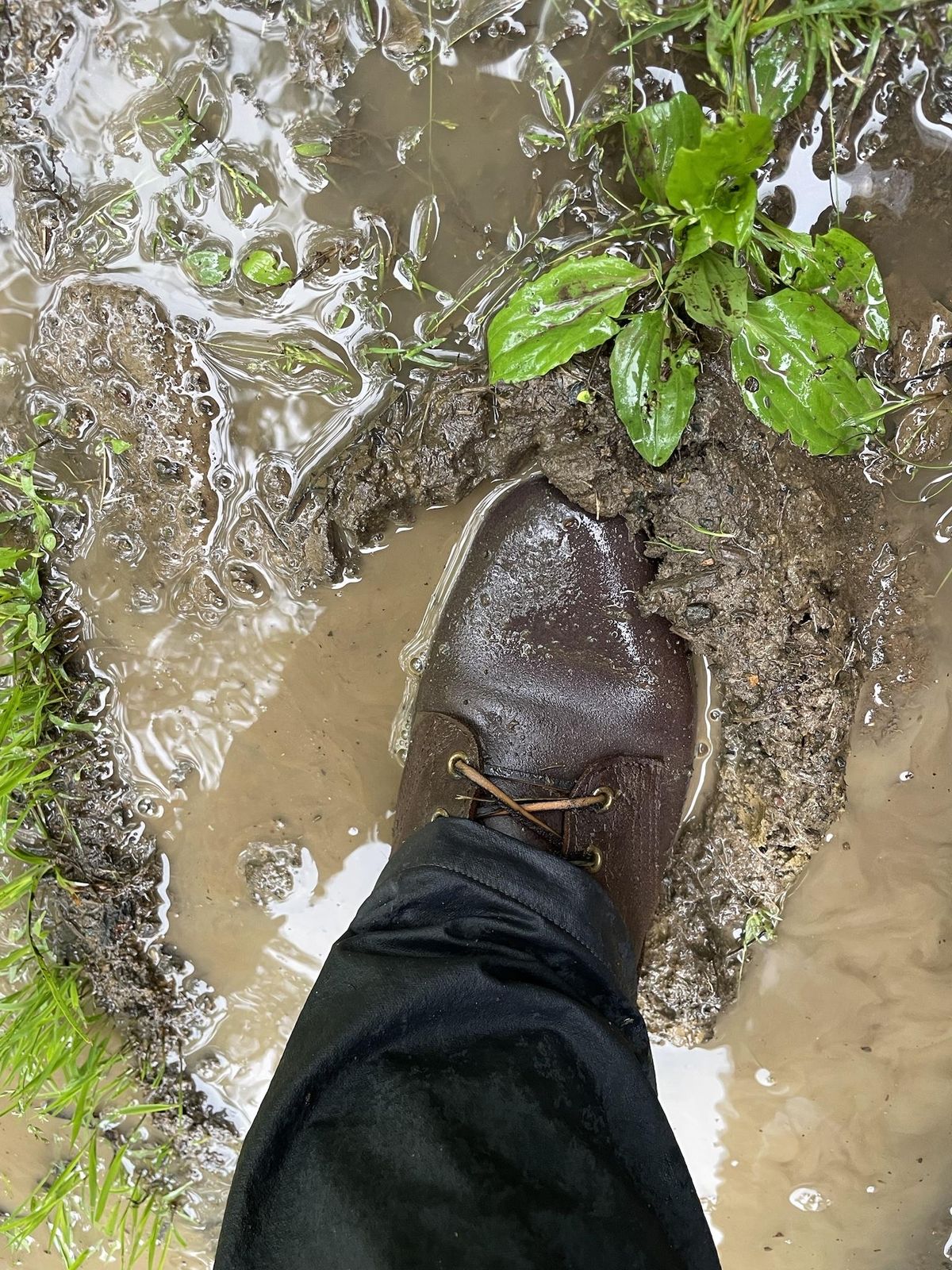 Photo by jbyer111 on April 29, 2023 of the Nicks Urban Logger in Horween Natural Waxed Flesh.