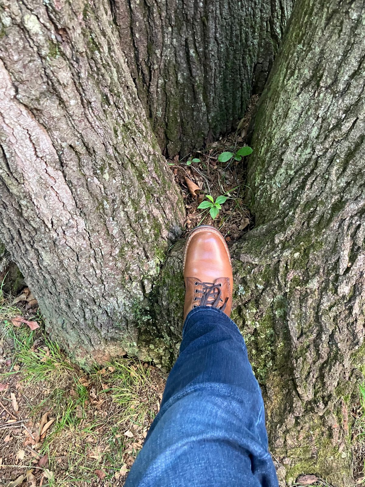 Photo by jbyer111 on May 28, 2024 of the White's Bounty Hunter in Horween Natural Chromexcel.