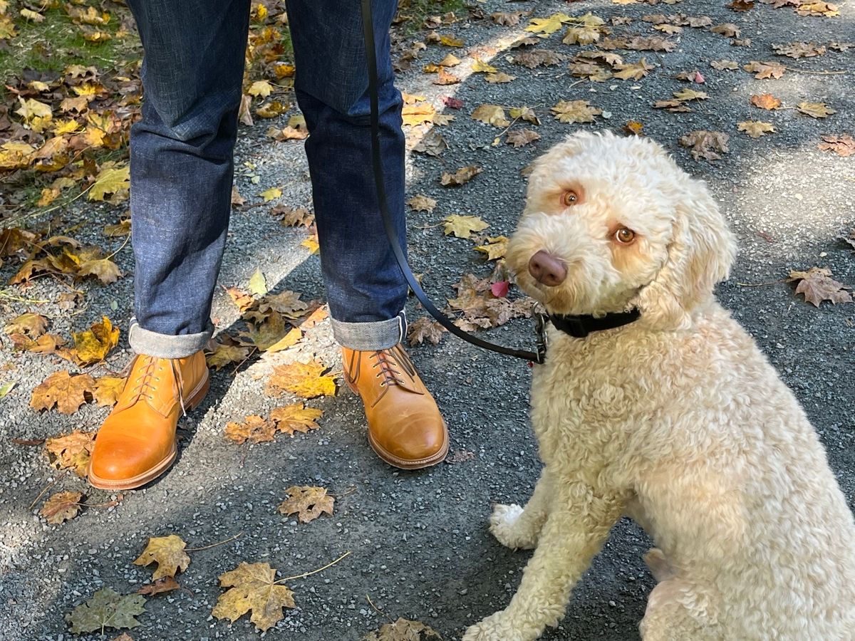 Photo by tbriggscook on November 2, 2022 of the Viberg Officer Boot in Shinki Camel Latigo Horsehide.