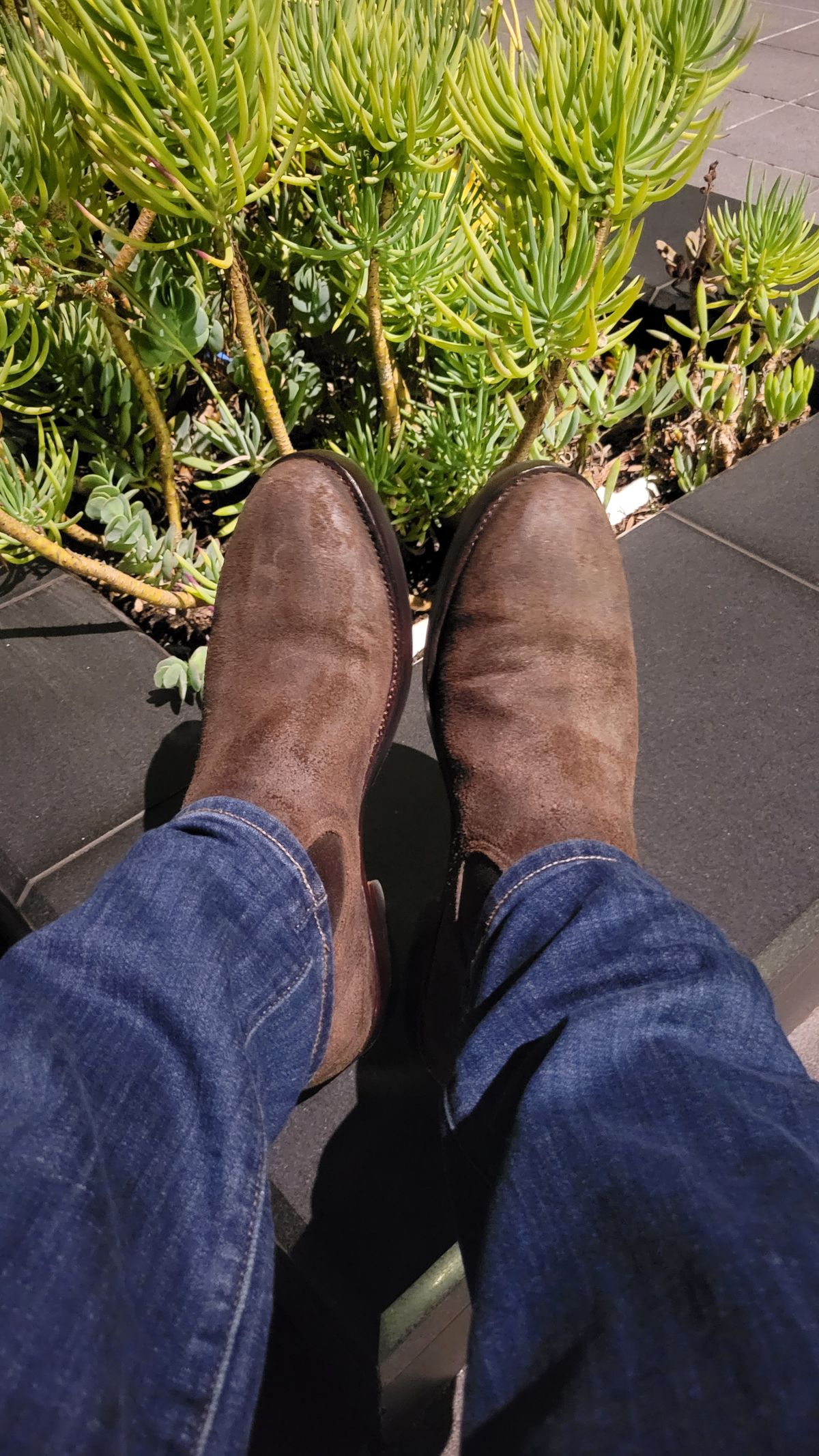 Photo by Dodgers78 on December 6, 2023 of the Benzein The Seventh Chelsea Boot in Indonesian Dark Brown Waxed Flesh.