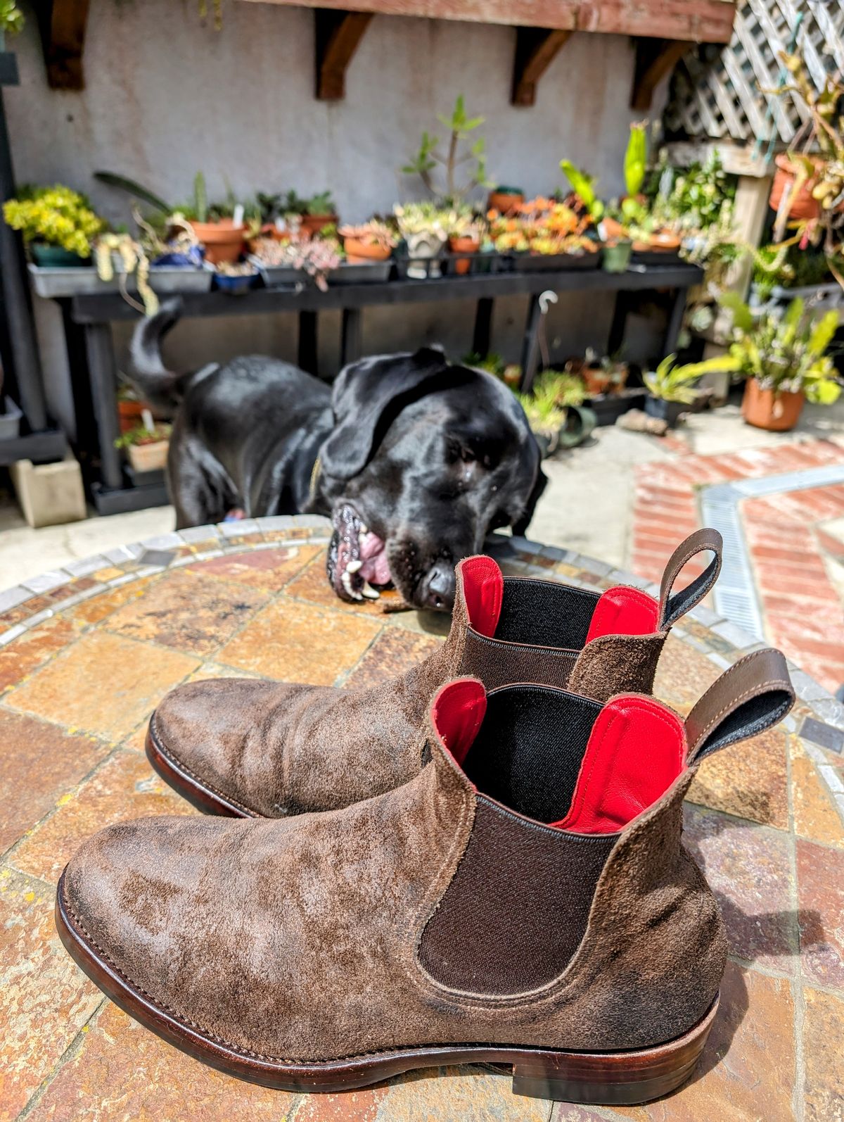 Photo by Dodgers78 on April 5, 2024 of the Benzein The Seventh Chelsea Boot in Indonesian Dark Brown Waxed Flesh.