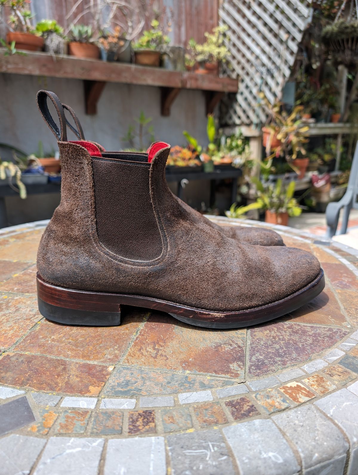 Photo by Dodgers78 on April 5, 2024 of the Benzein The Seventh Chelsea Boot in Indonesian Dark Brown Waxed Flesh.
