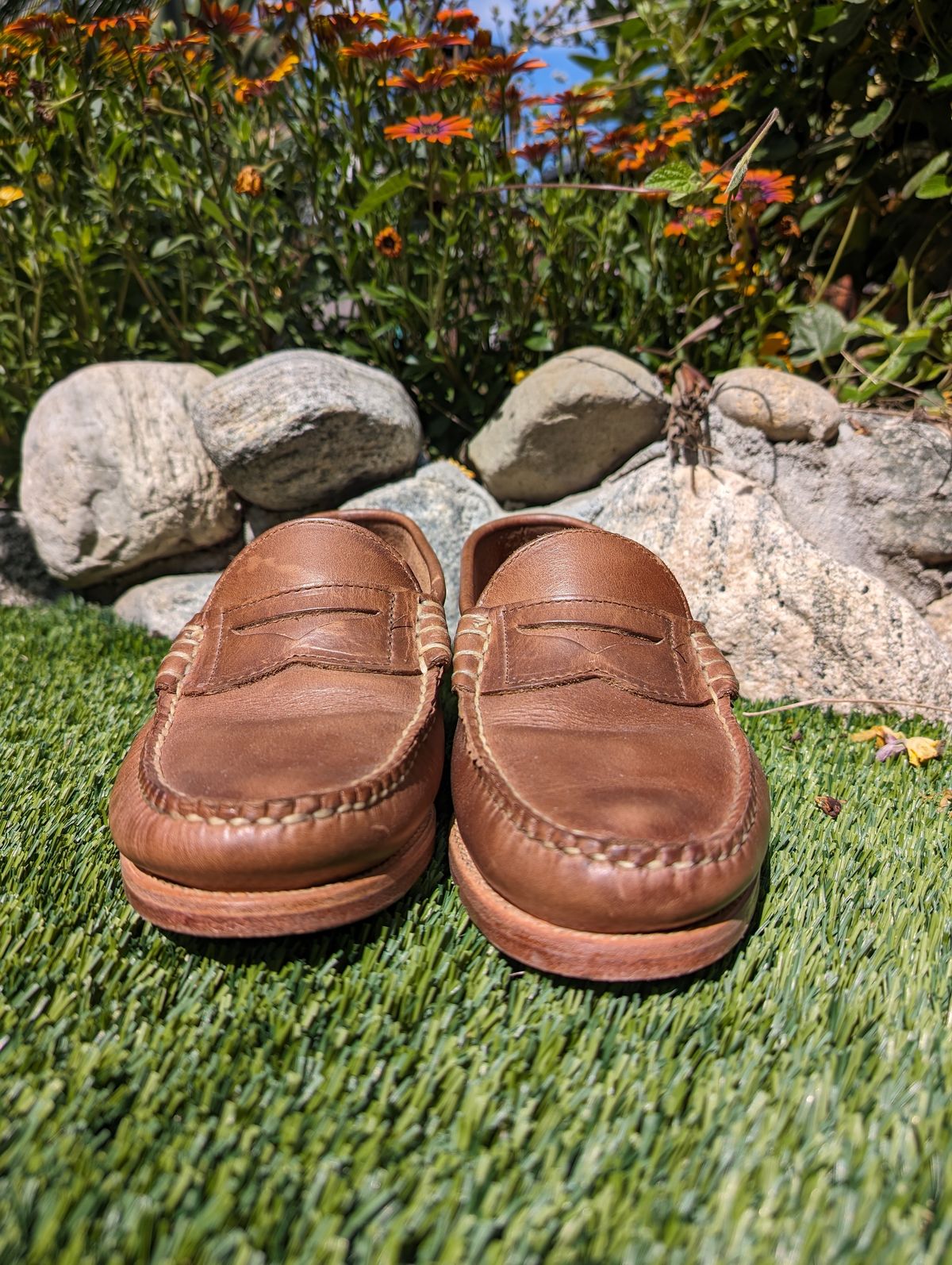 Photo by Dodgers78 on March 4, 2024 of the Rancourt & Co. Beefroll Penny Loafers in Horween Natural Chromexcel.