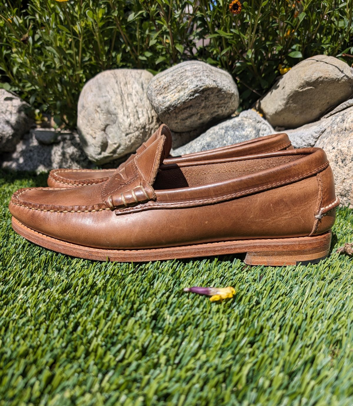 Photo by Dodgers78 on March 4, 2024 of the Rancourt & Co. Beefroll Penny Loafers in Horween Natural Chromexcel.